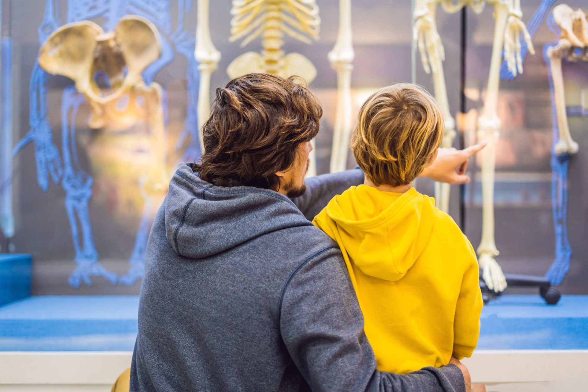 Посещение Анатомического Эрмитажа в Санкт-Петербурге будет полезно как детям, так и взрослым. Вас ждет много полезной информации о теле, здоровье и психологии. Источник: Shutterstock.