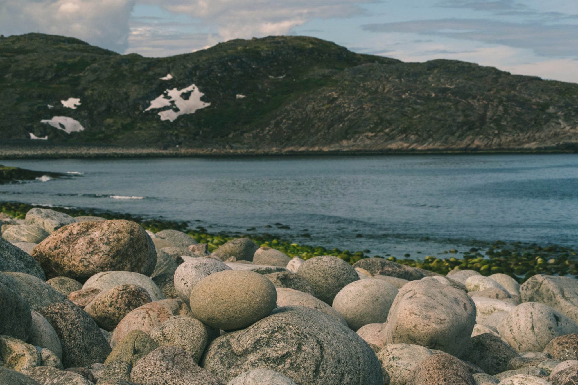 Пляж «Яйца дракона», Териберка. Источник: Shutterstock