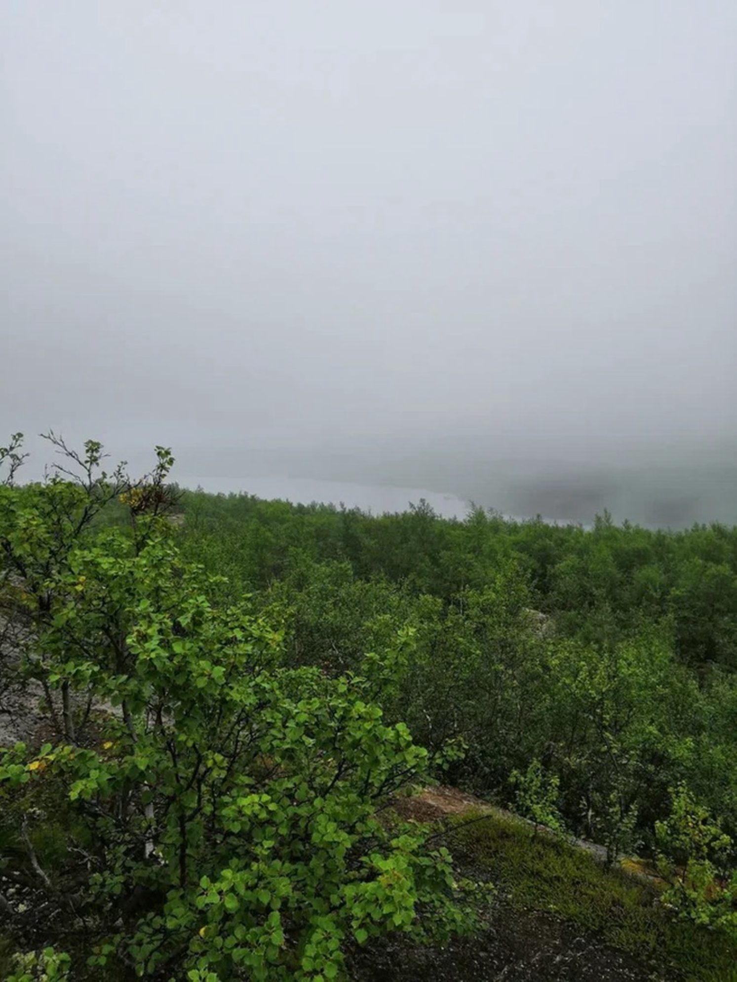 Вид на Рогозеро с плато, на котором находится лабиринт. Автор фото: Андрей Афанасьев