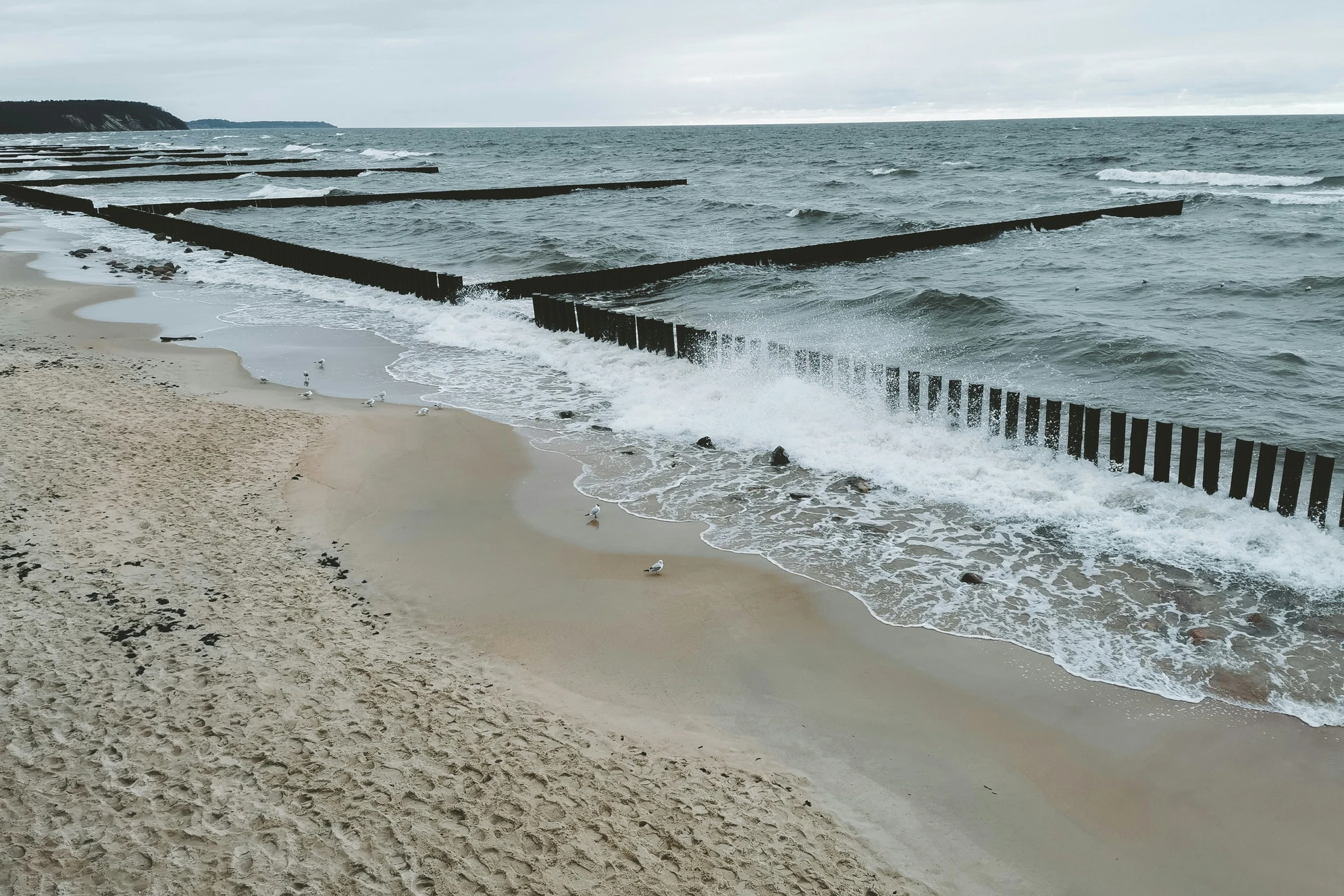 Куршская коса. Фото: Nana Kobakhiya