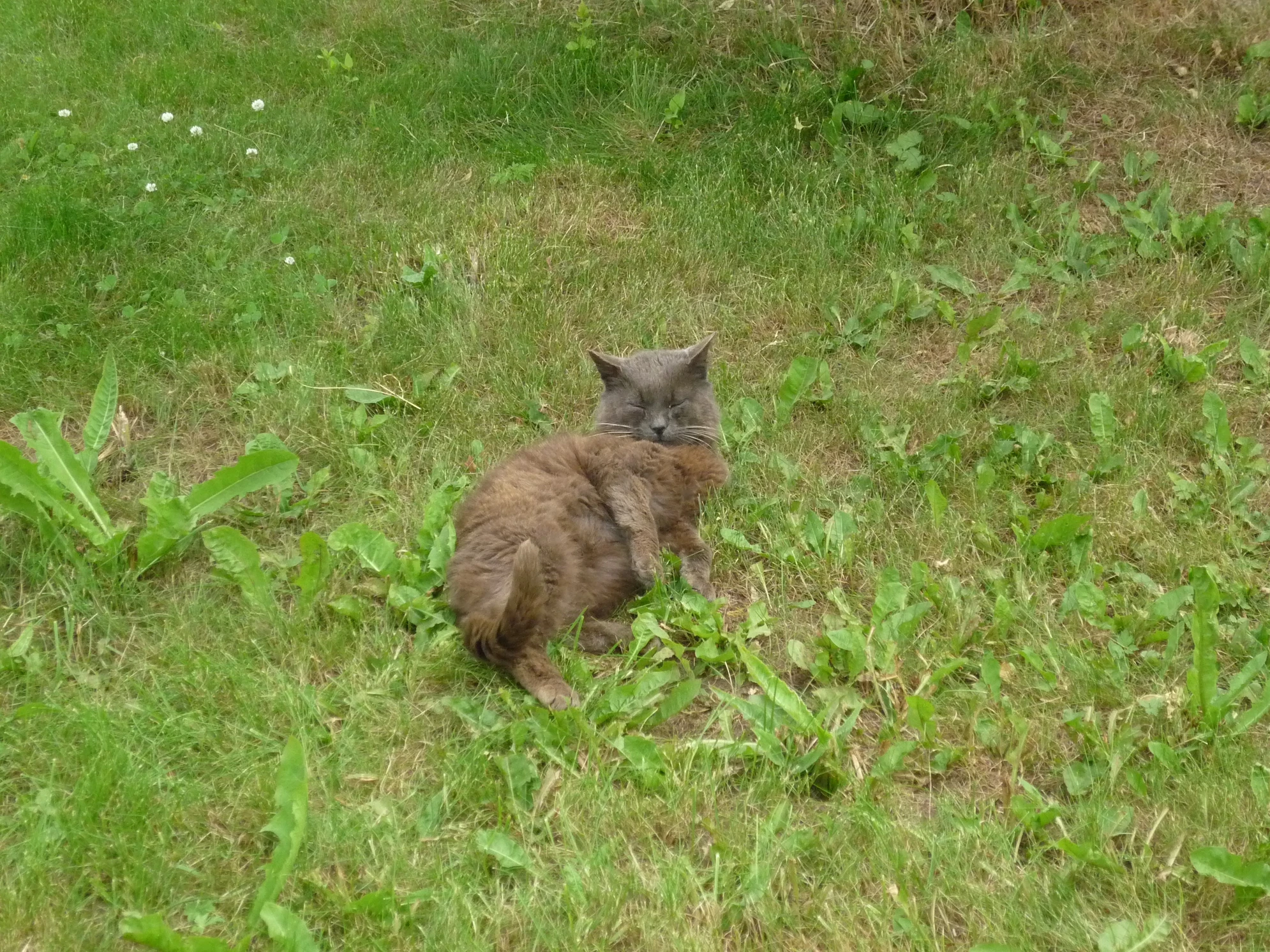 Лучшее время для посещения Валаама - лето, когда устанавливается самая теплая погода, а Ладожское озеро наиболее спокойно