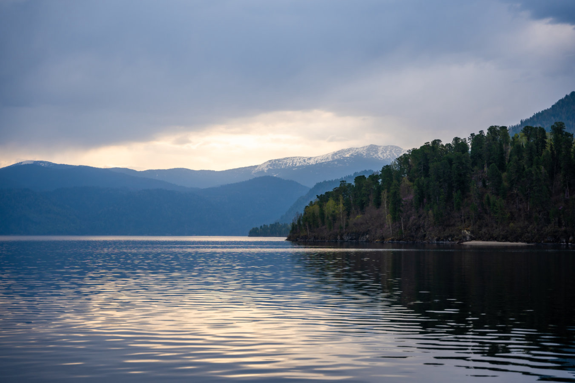 Телецкое озеро. shutterstock.com