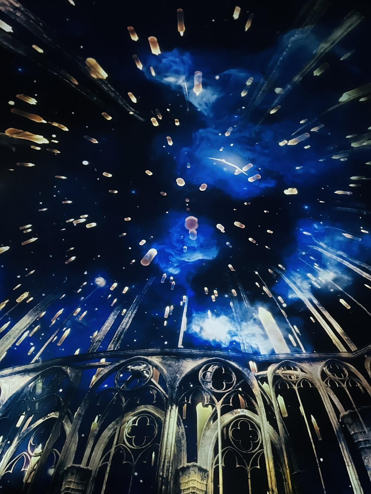 Шоу программа в Планетарии №1, Санкт-Петербург.Источник фото: Личный архивАвтор фото: Тронькова Анастасия