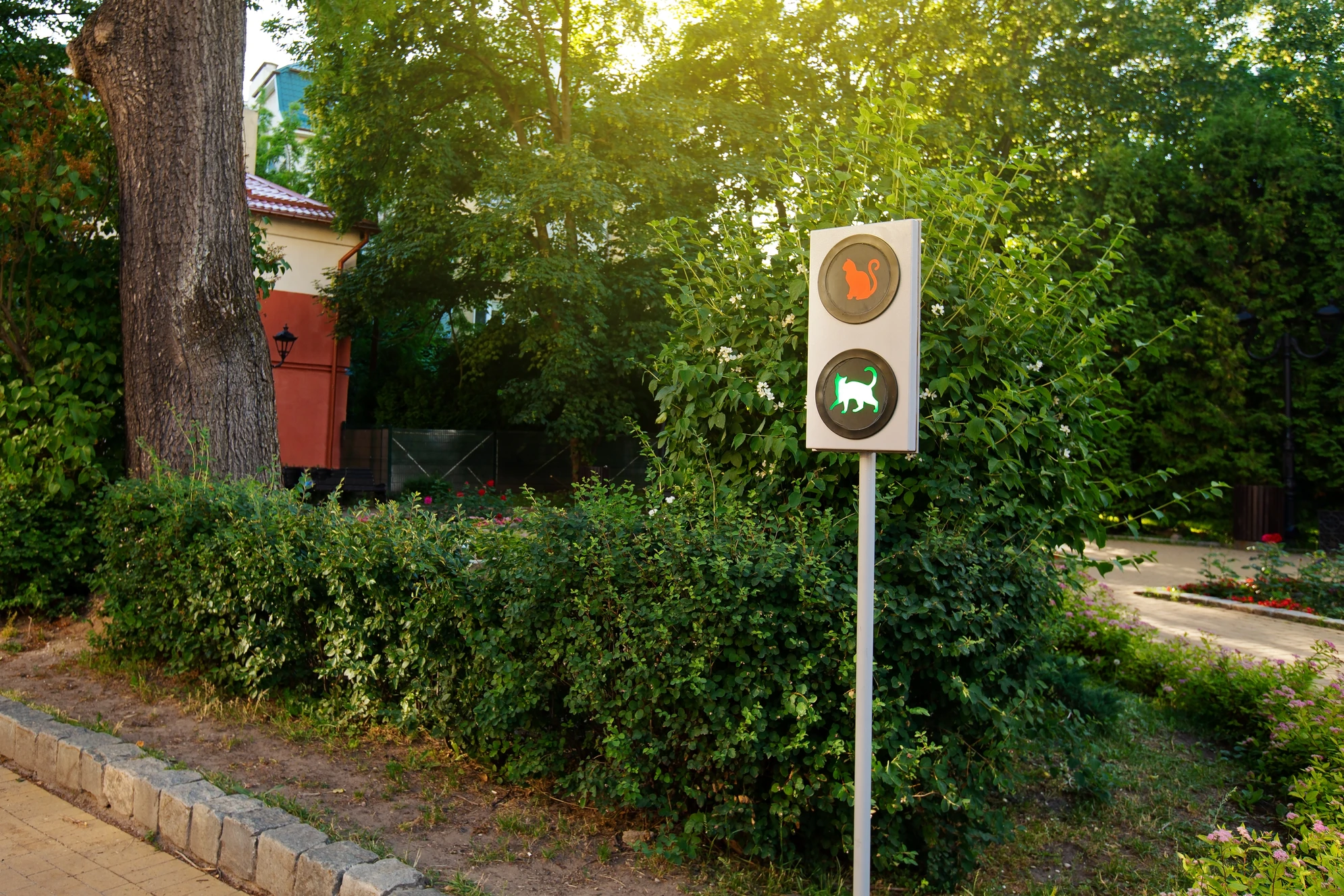 «Кошачий светофор» - популярная фотозона и жанровая скульптура в сквере «Котофейня». Источник: Shutterstock