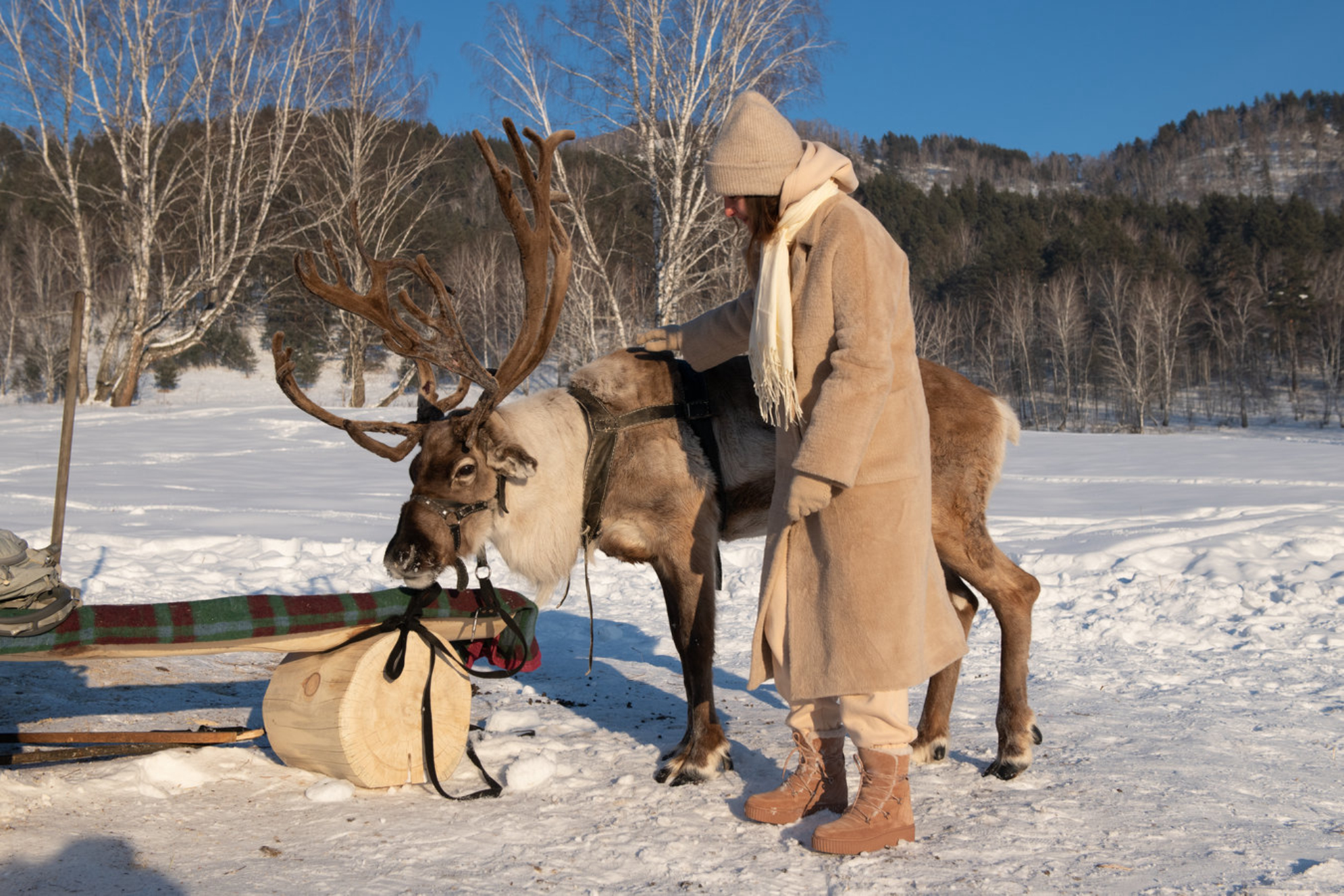 Женщина с оленем в зимнем пейзаже, Сибирь. Shutterstock