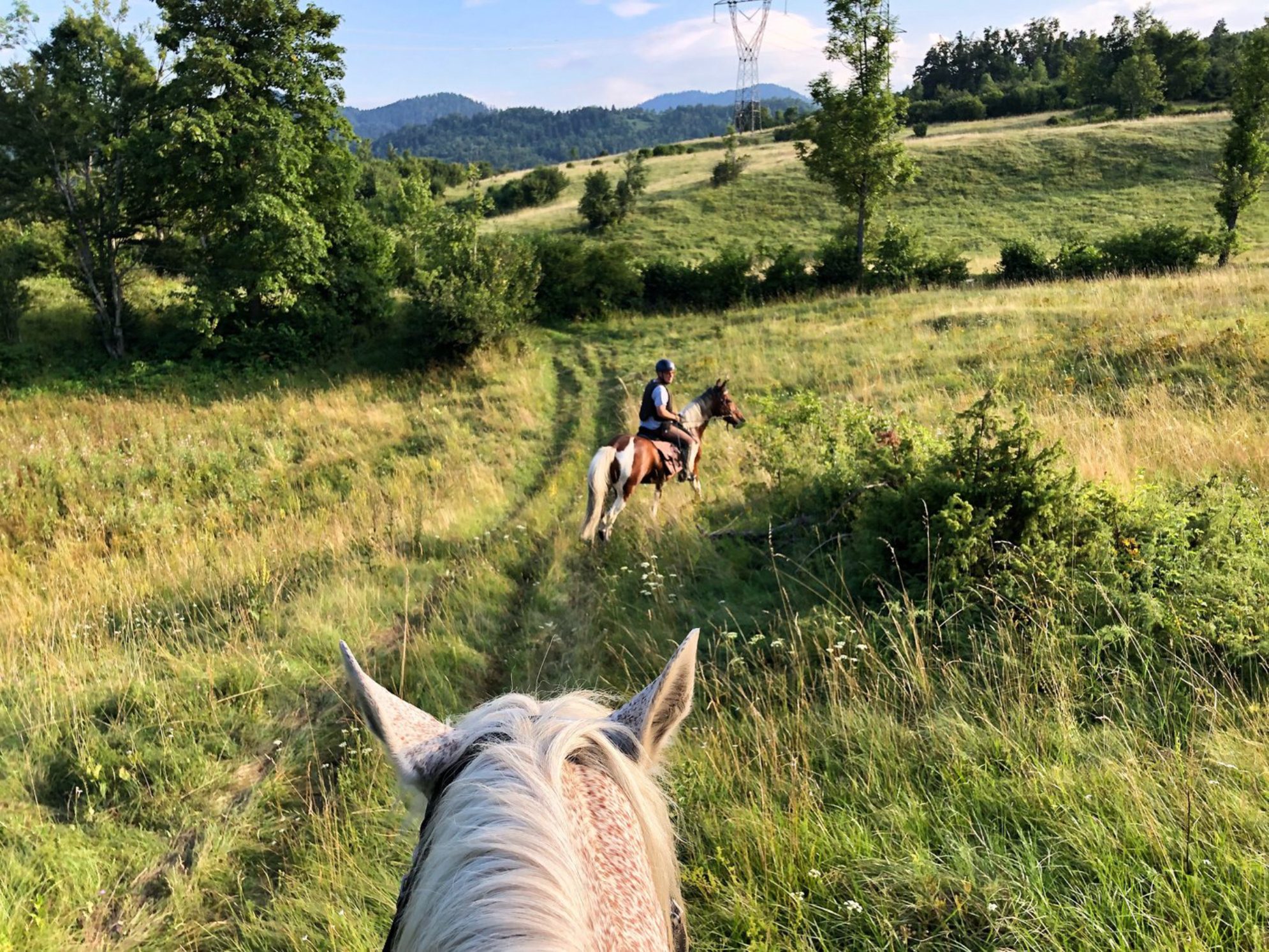 Прогулка на высоте в седле - отличный способ познакомиться с красотами Дагестана. Источник фото: elements.envato.com