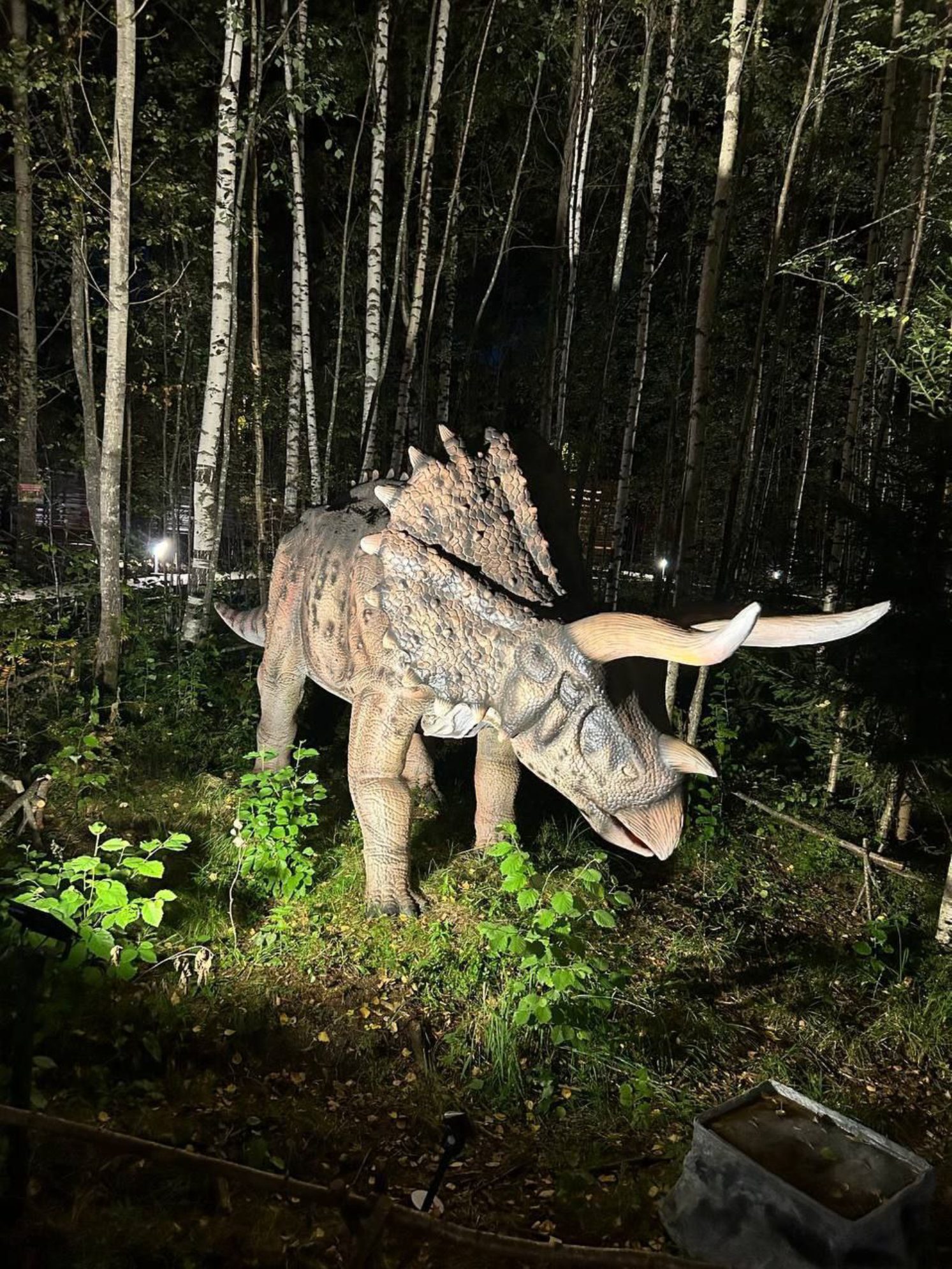 Трицератопс в Динопарке, Петрозаводск.
Автор фото: Анна Ворожун