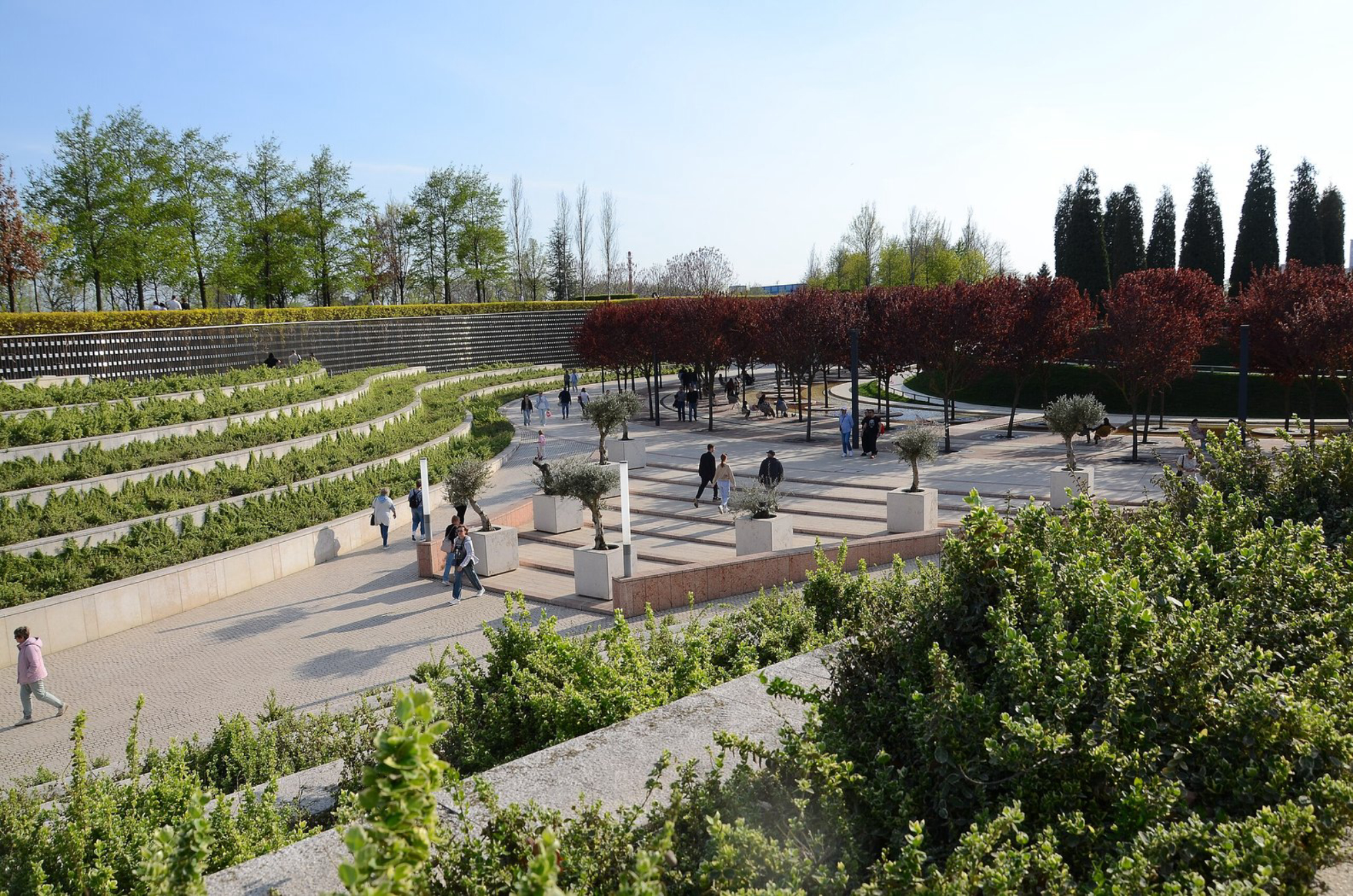 Амфитеатр в парке Галицкого в Краснодаре