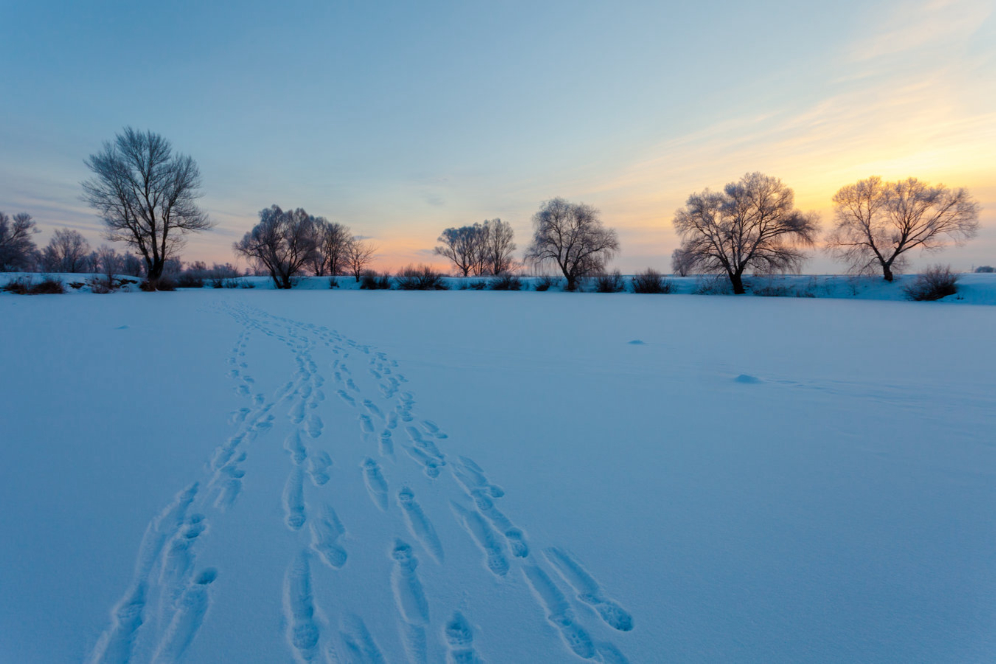 Зимний закат в заснеженном поле, Россия. Shutterstock