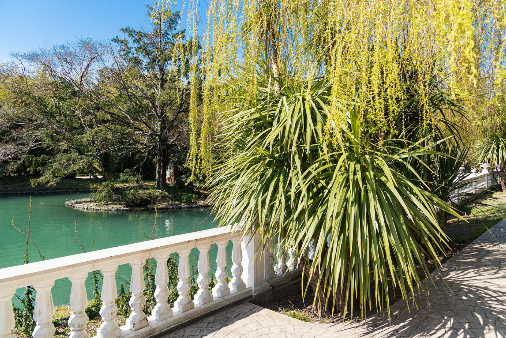 Парк «Южные культуры» в Адлере. shutterstock.com