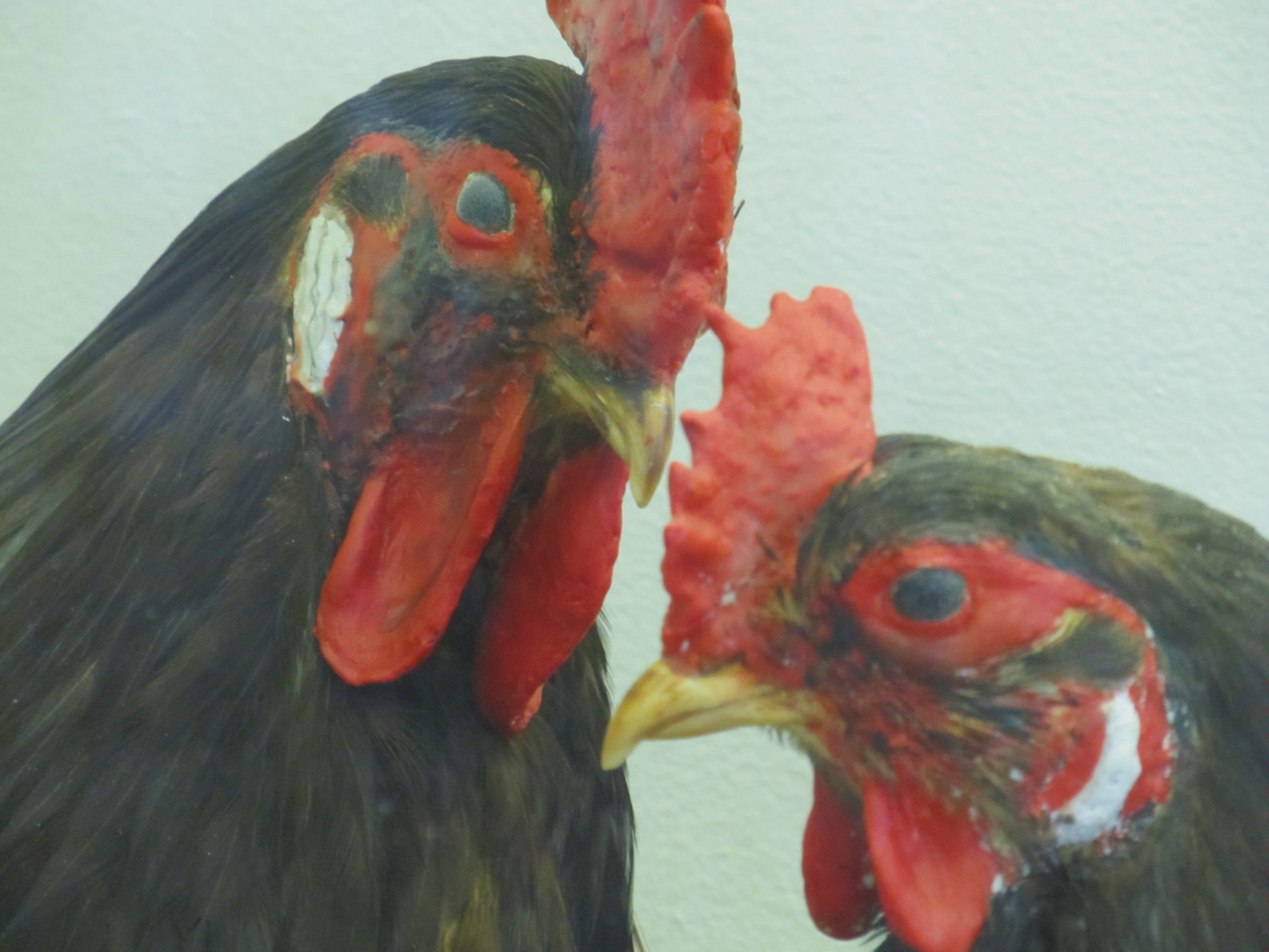 Иногда в залах можно даже встретить героев мемов