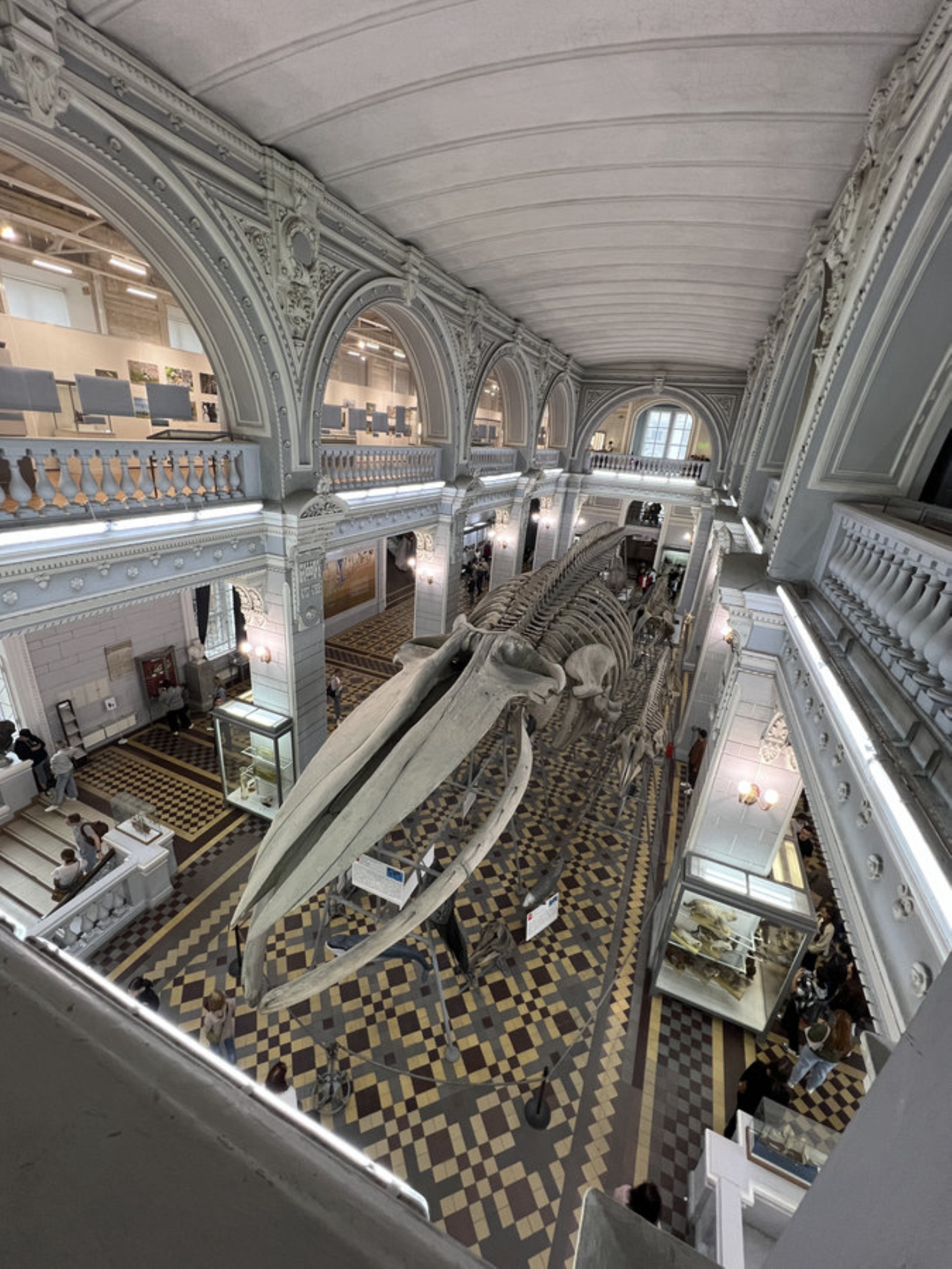 Выходные в СПб: интересные и небанальные места для пары