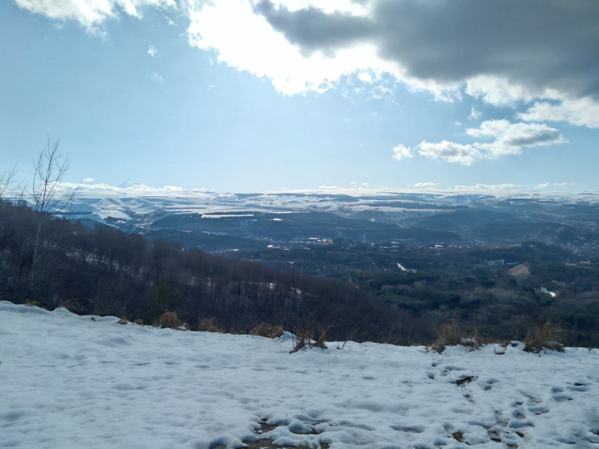 Зима в Кисловодске обычно малоснежная и мягкая. Источник: Shutterstock