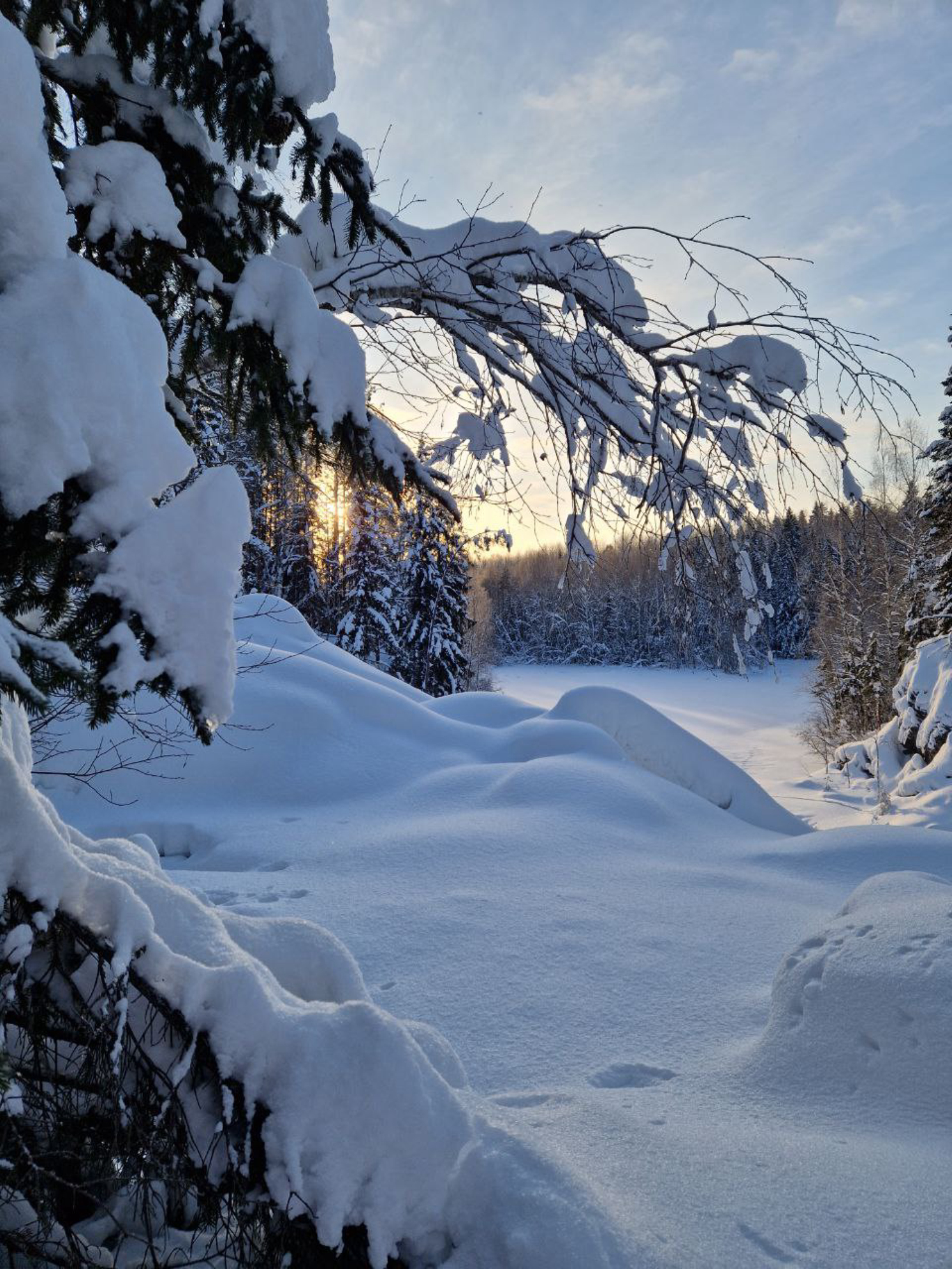 Зимний лес, заповедник "Кивач", Республика Карелия.Автор фото: Анна Ворожун