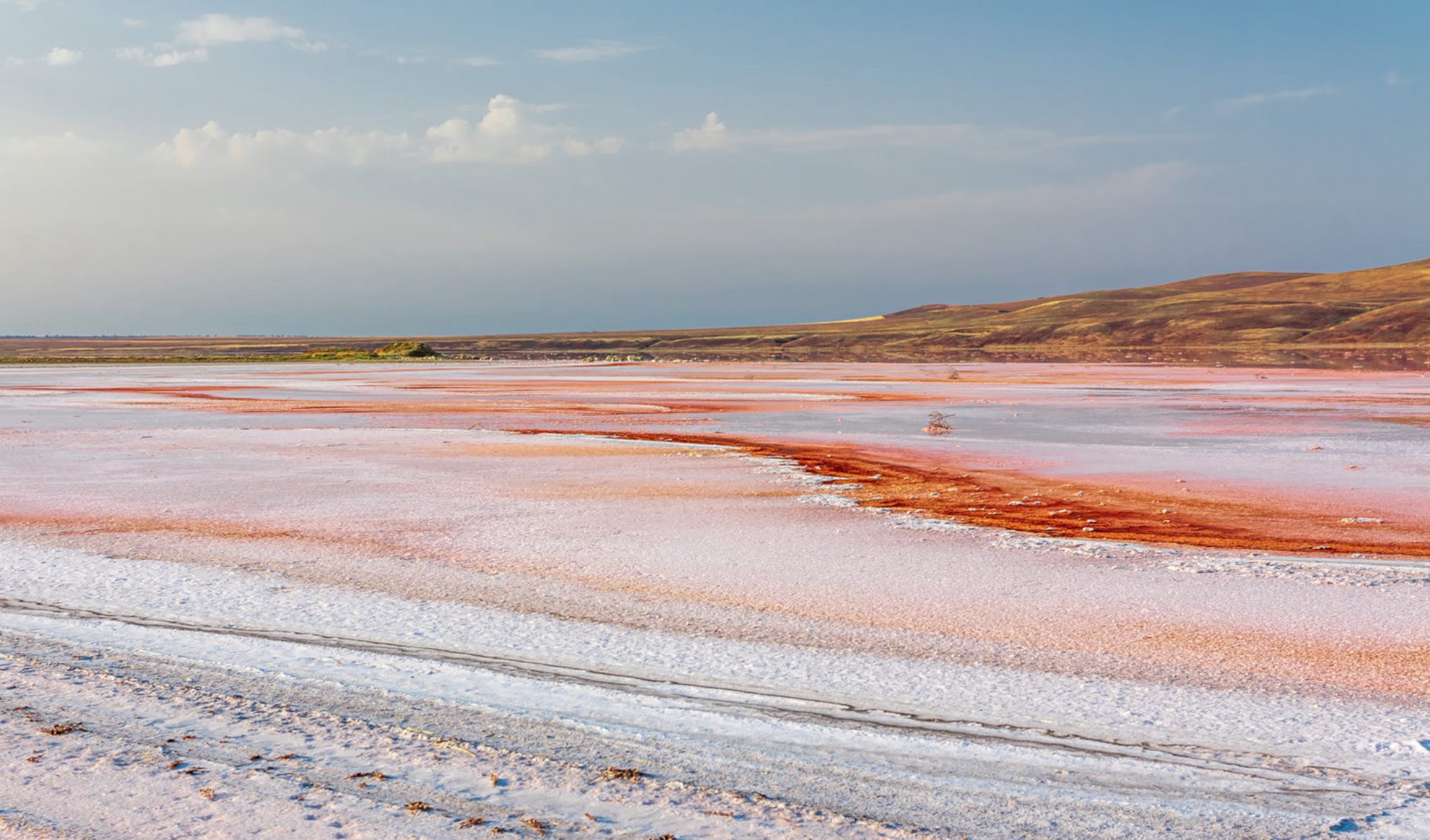 В середине лета Кояшское озеро может пересохнуть и побелеть. Источник фото: Shutterstock
