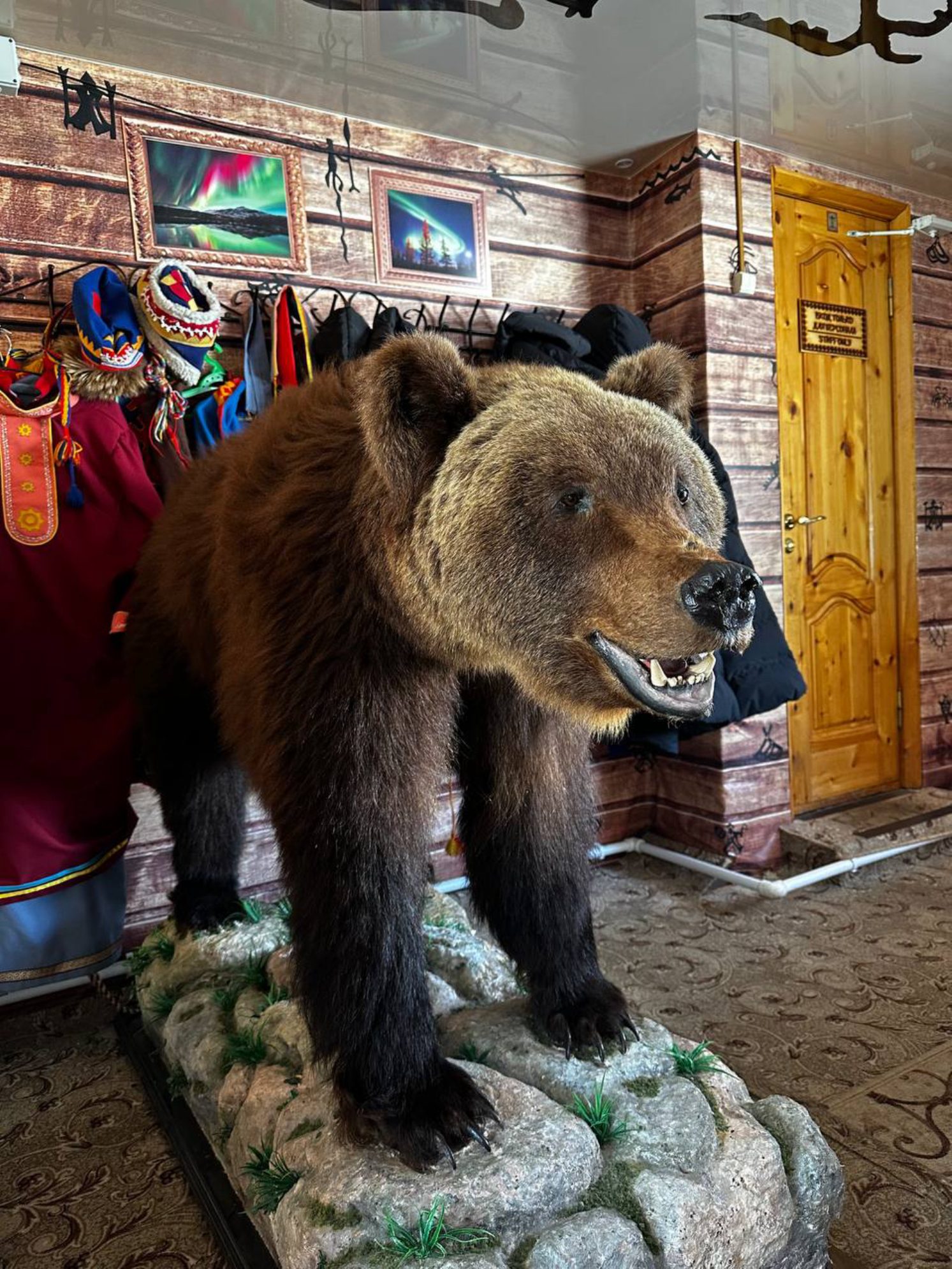 Чучело медведя. Автор фото: Анастасия Тронькова