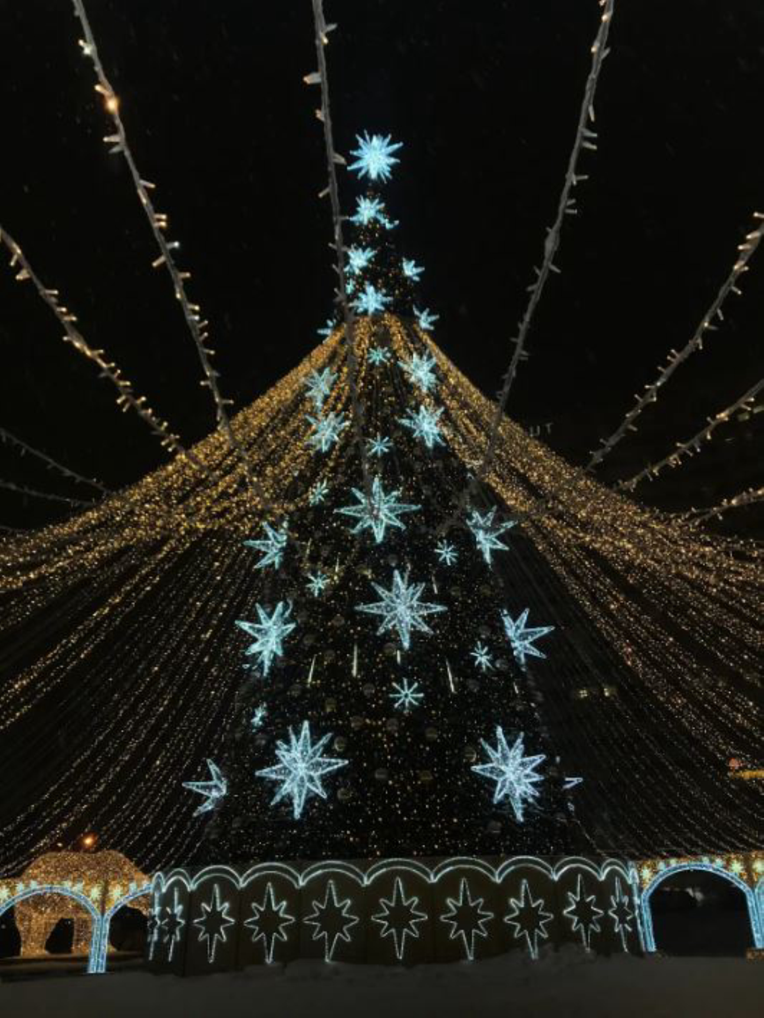 Наряженная елка. Автор: Анастасия Рейзес