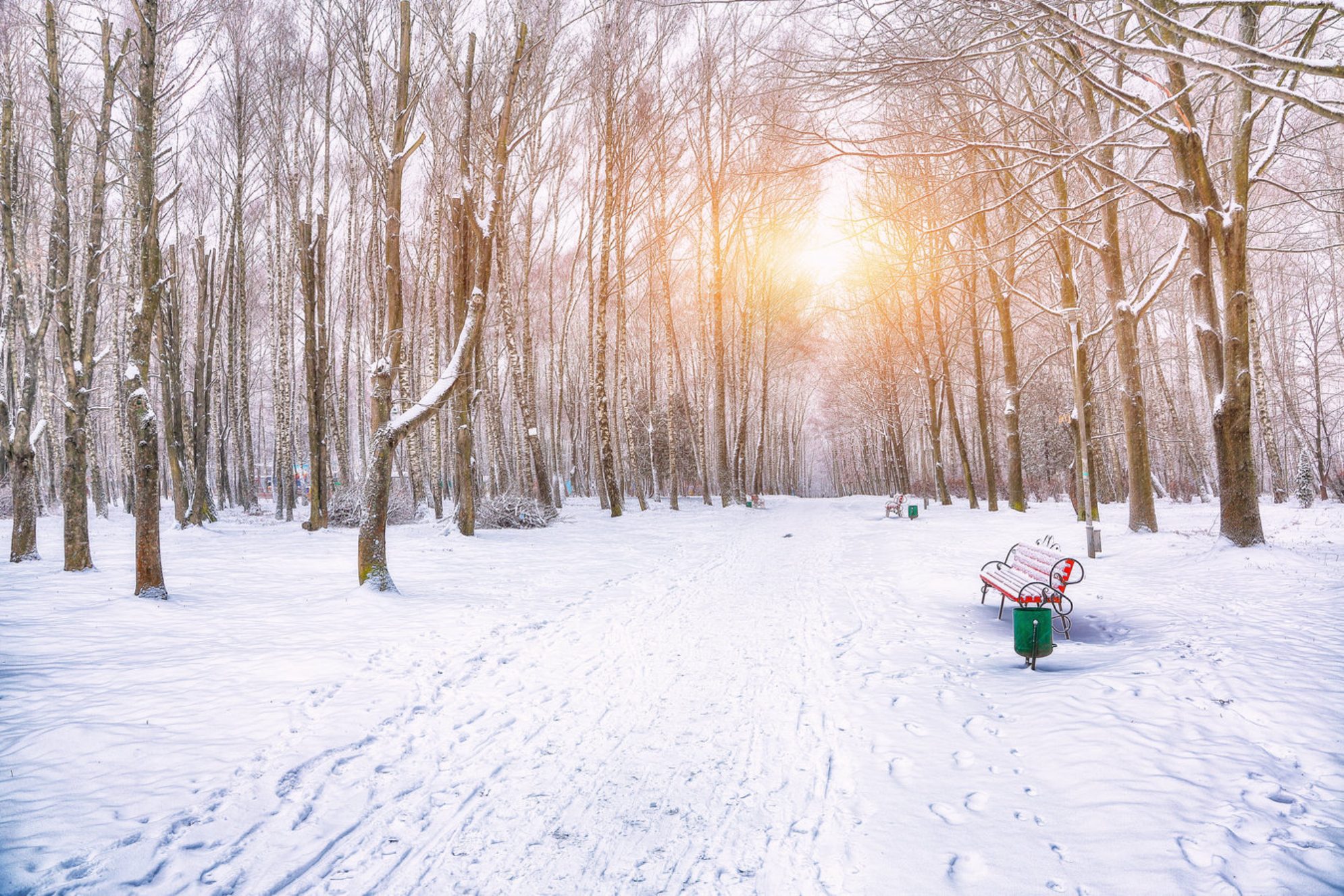 Вид на скамейку парка и деревья, покрытые снегом. Зимний пейзаж, Россия. Источник: Shutterstock