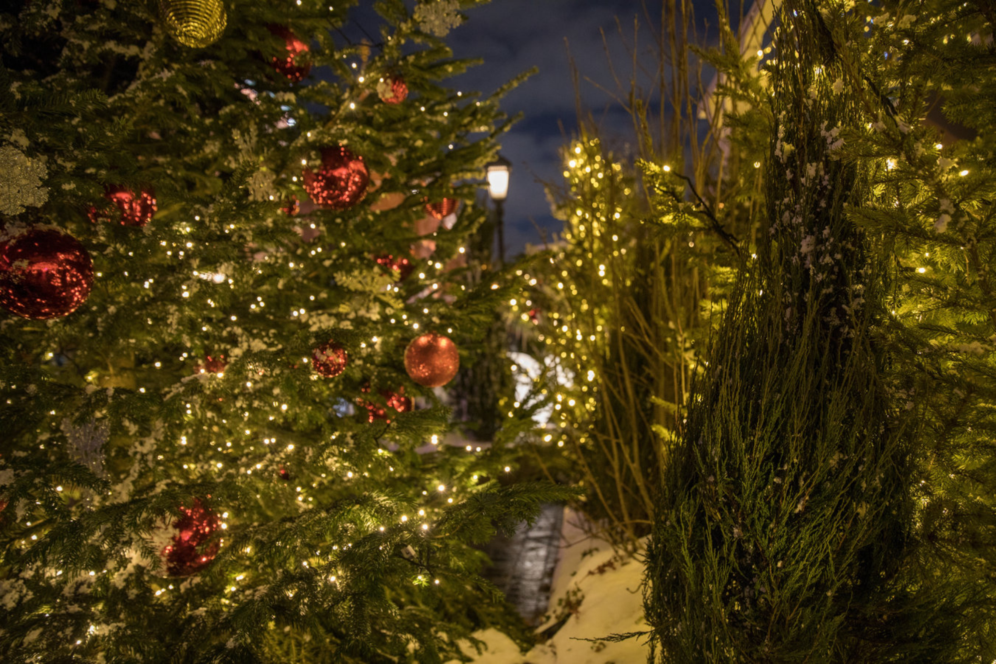 Новогодние украшения на елке. Shutterstock