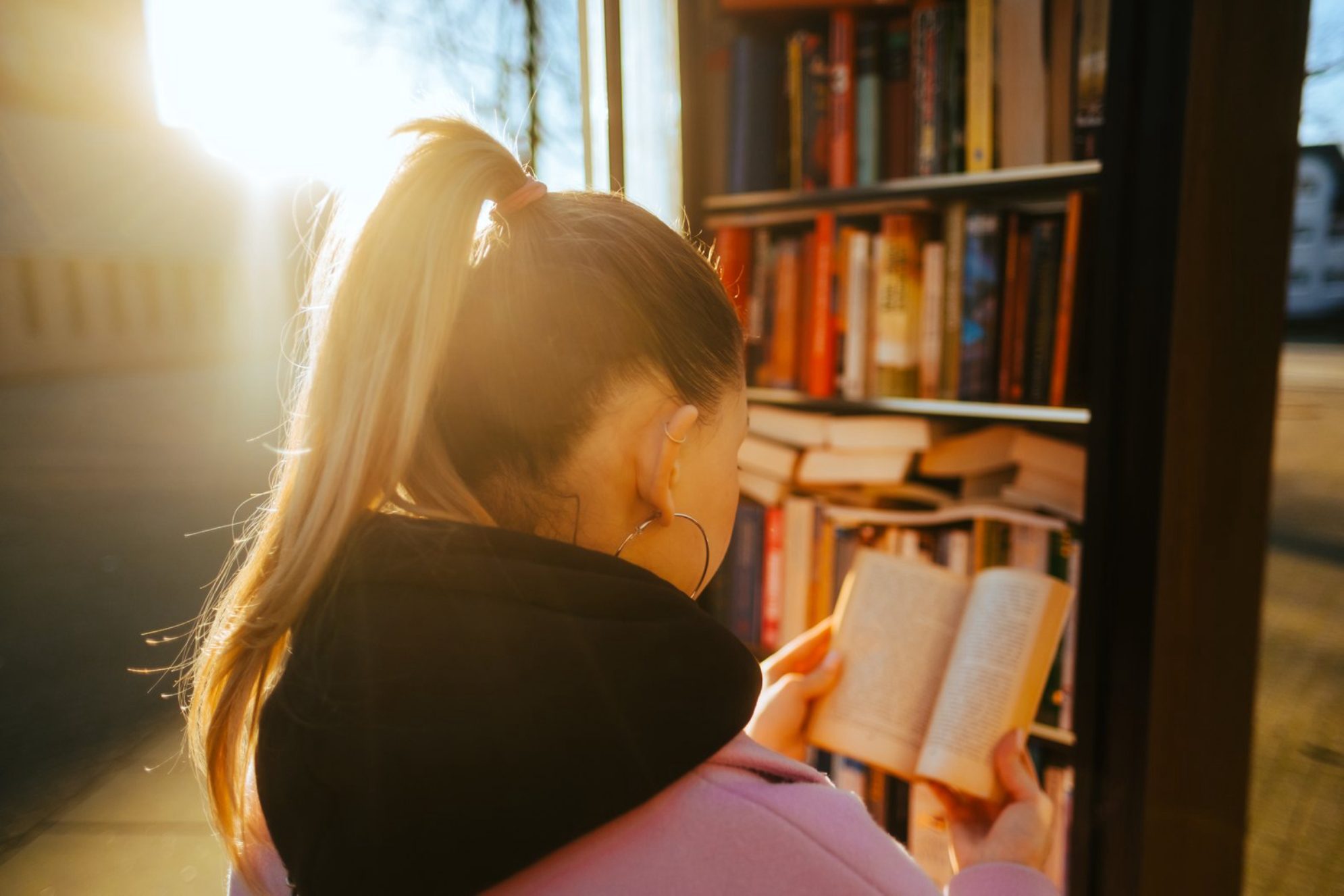 Стойки для буккроссинга. Источник: Envato Elements