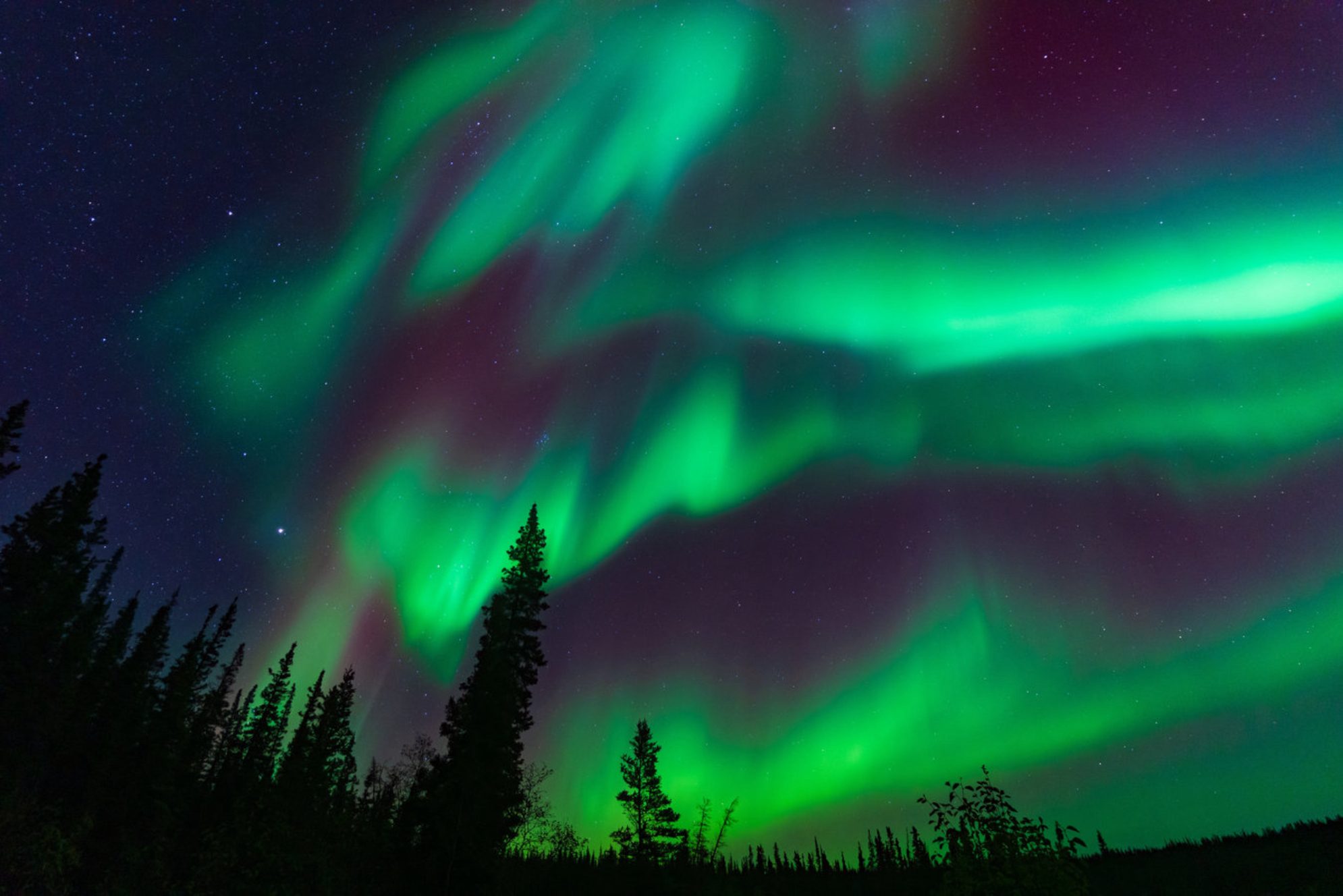 С каждым годом количество туристов, желающих увидеть северное сияние своими глазами, растет. shutterstock.com