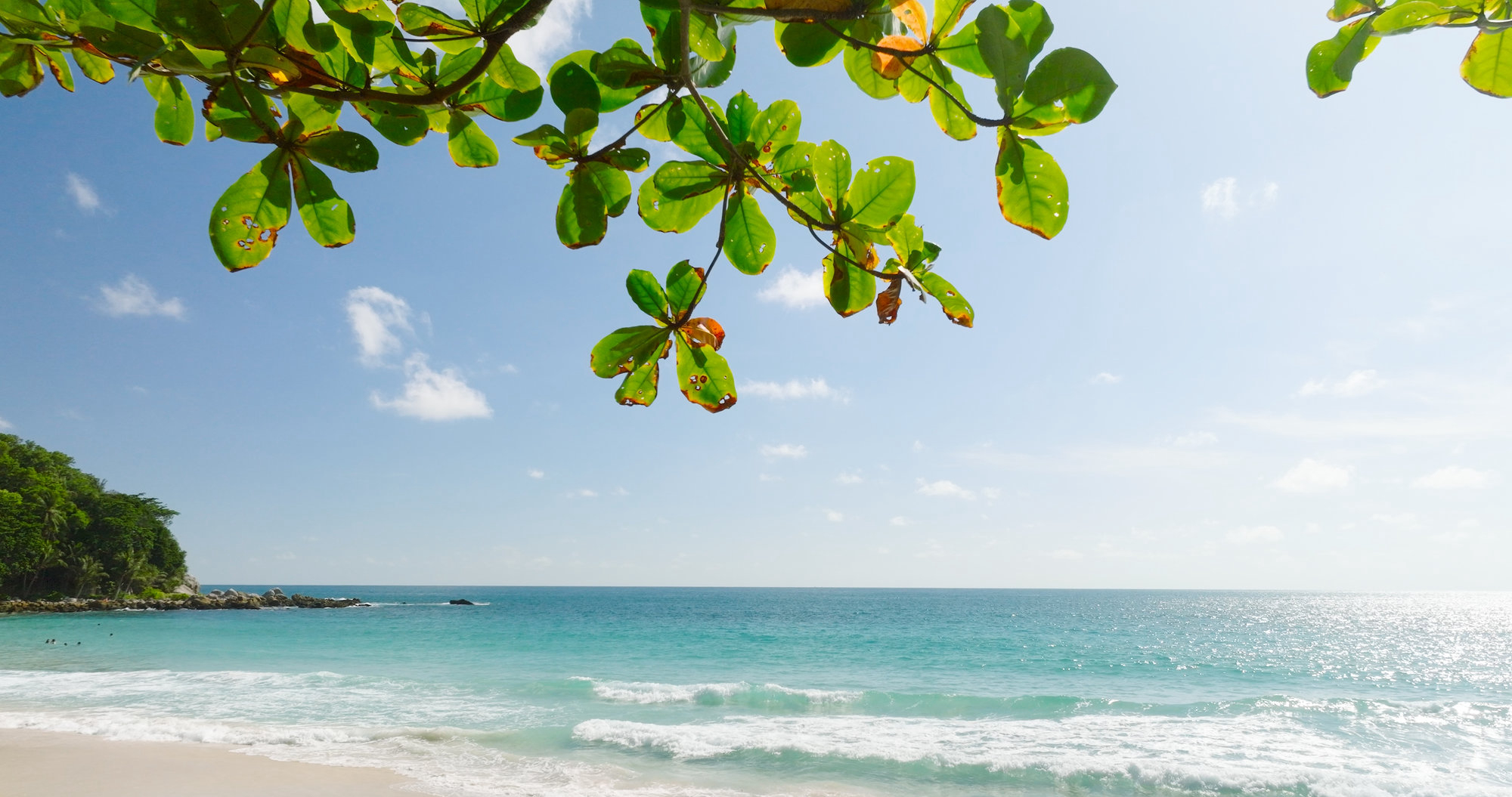 Вид на пляж и природу Пхукета в январе, Таиланд. Источник: Shutterstock