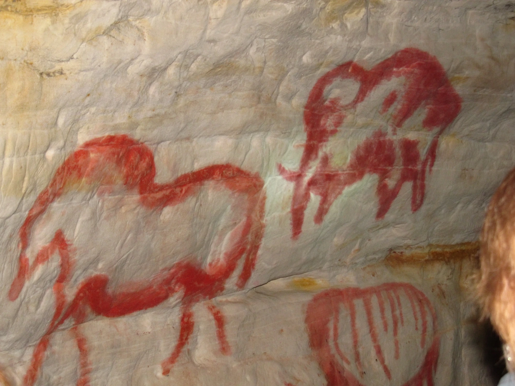 Внутри Саблинских пещер можно увидеть реплики палеолитической живописи из Каповой пещеры