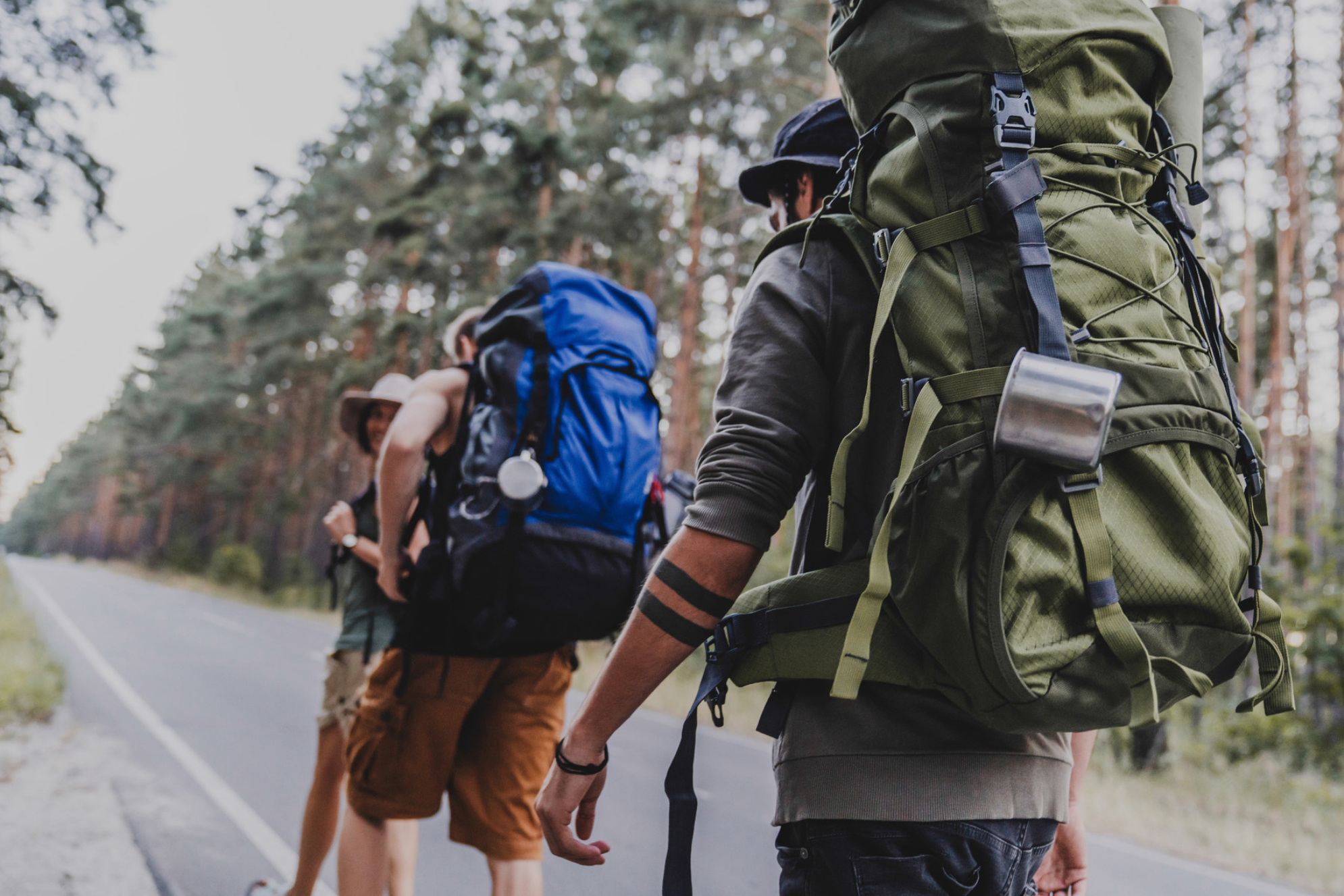 Группа путешественников с рюкзаками, идущая по лесной дороге. Источник: Shutterstock