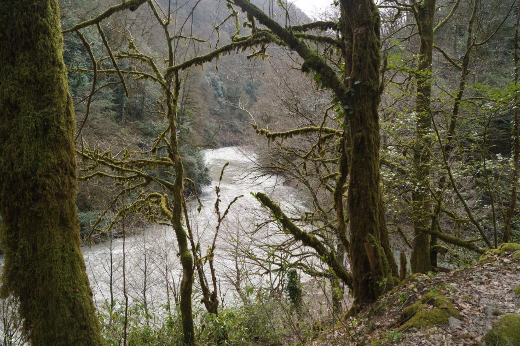 Дорога к Ажекскому водопад. Автор фото: Марина Тихомирова