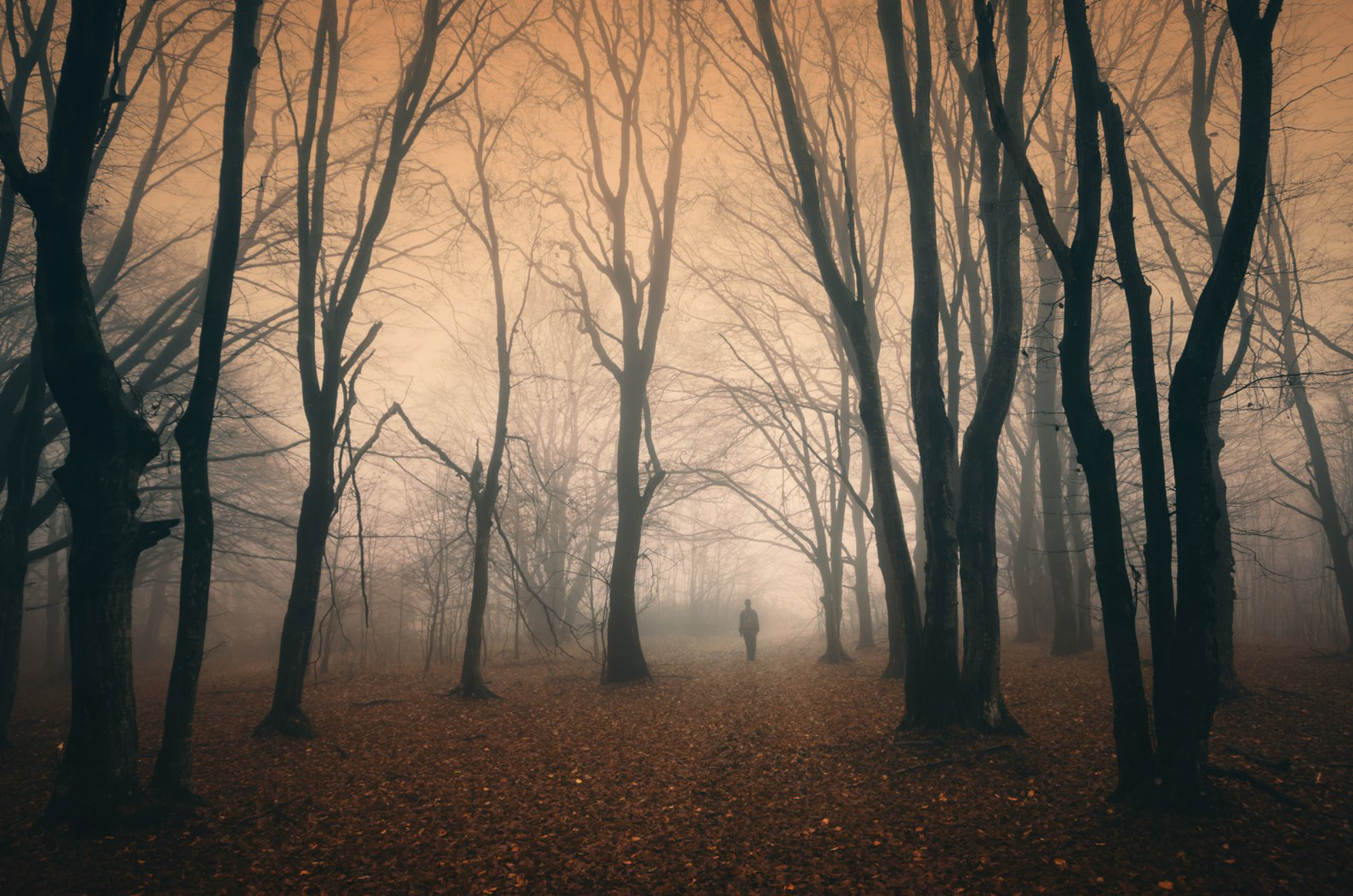 Мифы и легенды Сочи: самые загадочные места курорта