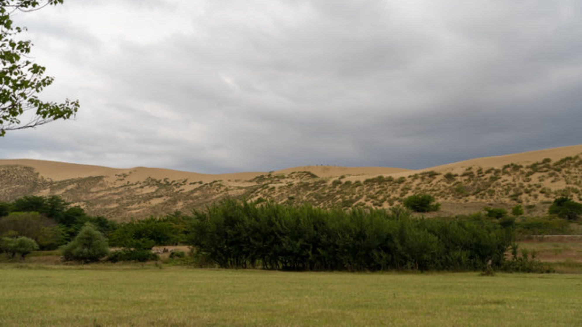 Бархан Сарыкум экзотично смотрится посреди зеленых просторов Дагестана. shutterstock.com