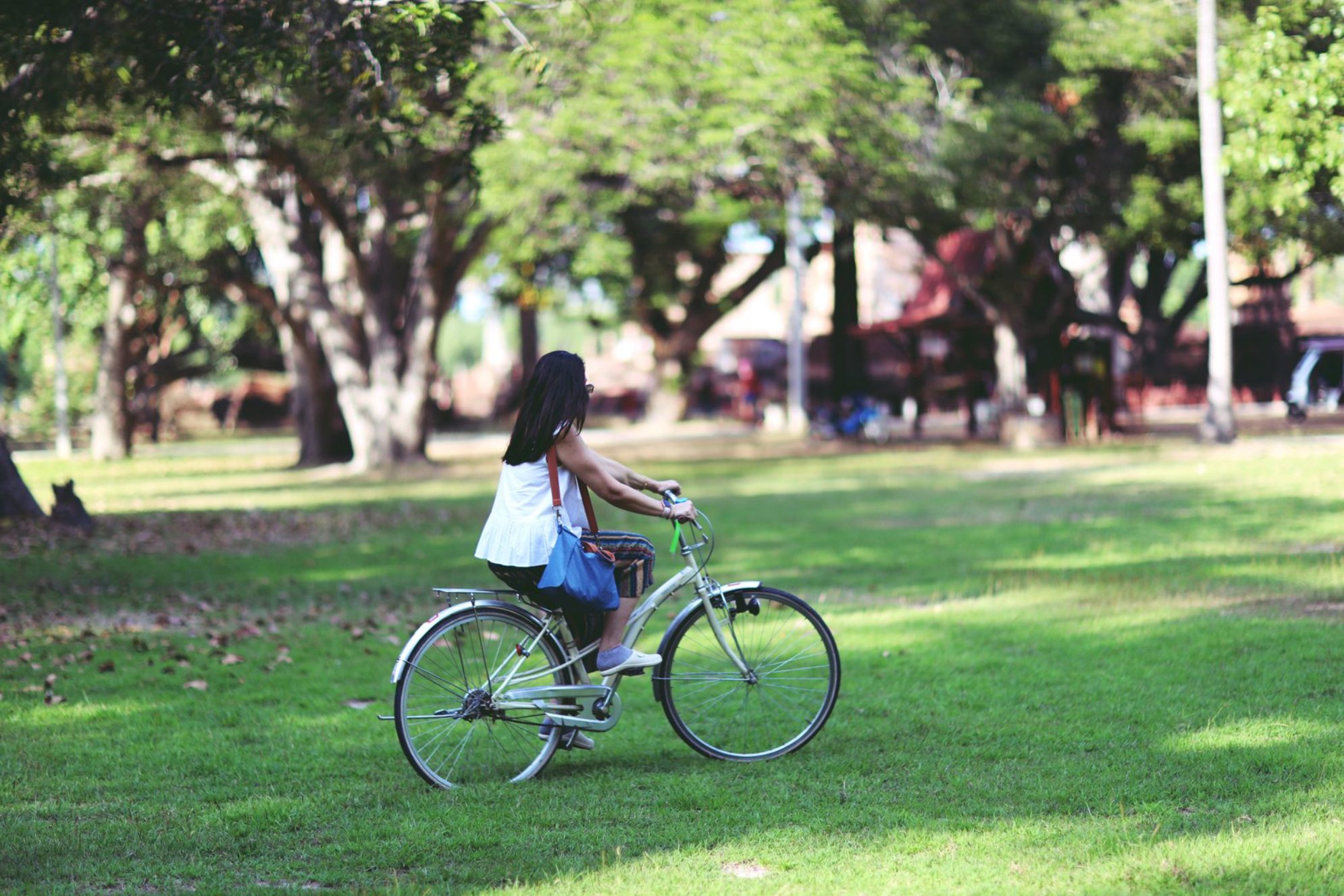 В городском парке приятно покататься на велосипедеelements.envato.com