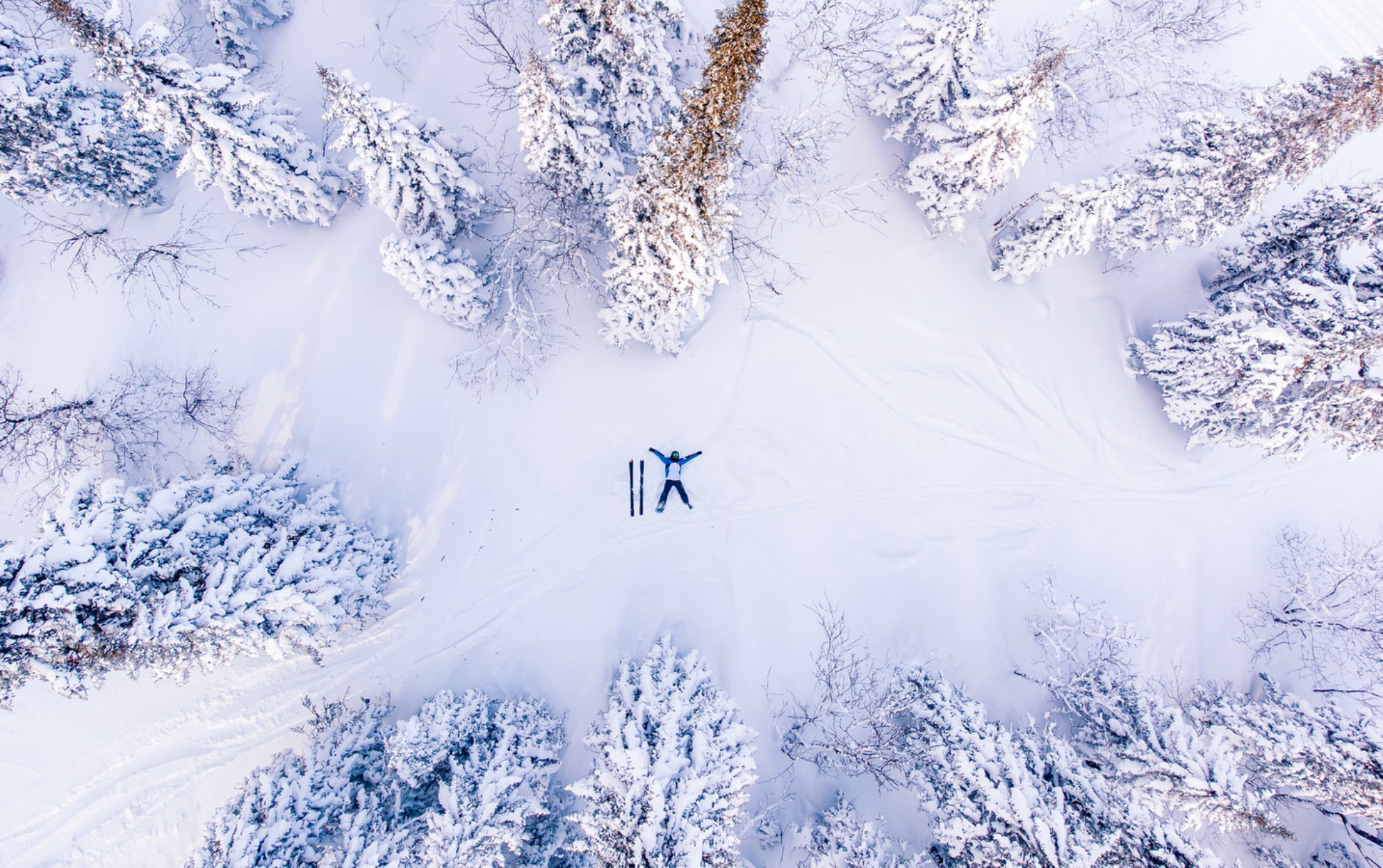 Вид сверху на заснеженный лес с лежащим на снегу мужчиной и лыжами. Источник: Shutterstock