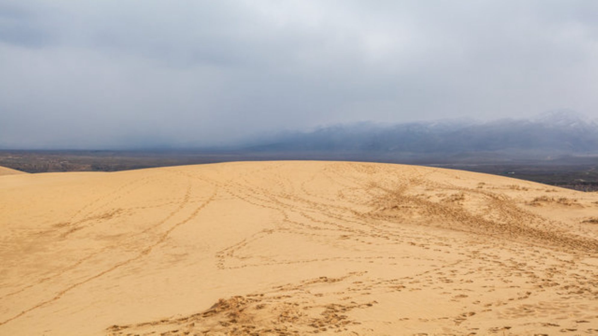 Вид на бархан Сарыкум. shutterstock.com