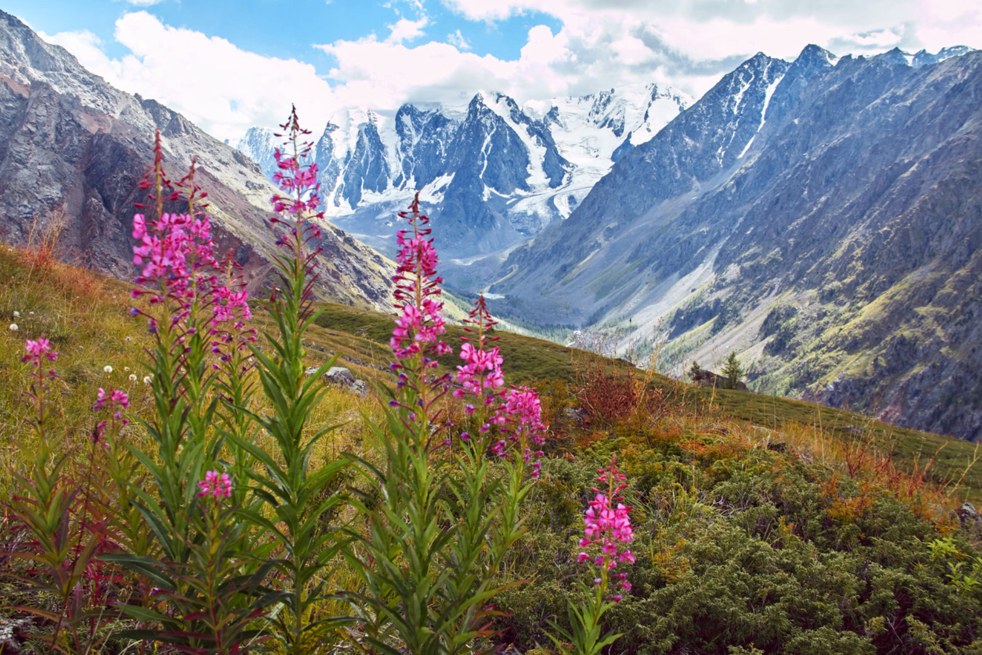 По пути к Шавлинским озерам, Алтай.Источник: Shutterstock.com
