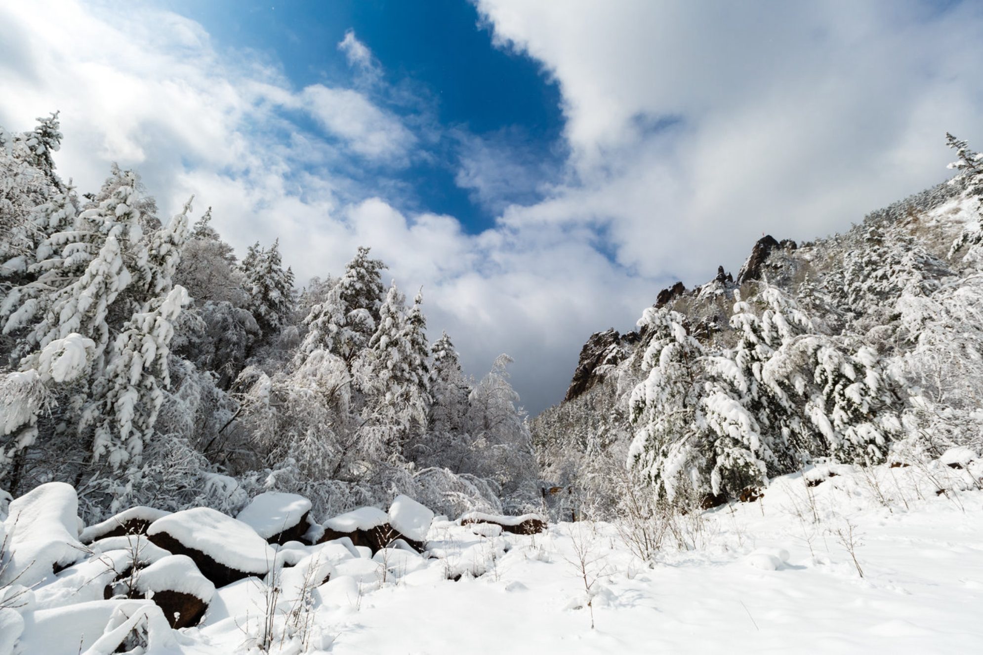 Дудинка − северный порт России, через который осуществляется экспорт металлов и угля, а город знаменит долгими полярными ночами и суровыми арктическими зимами. Источник: shutterstock.com
