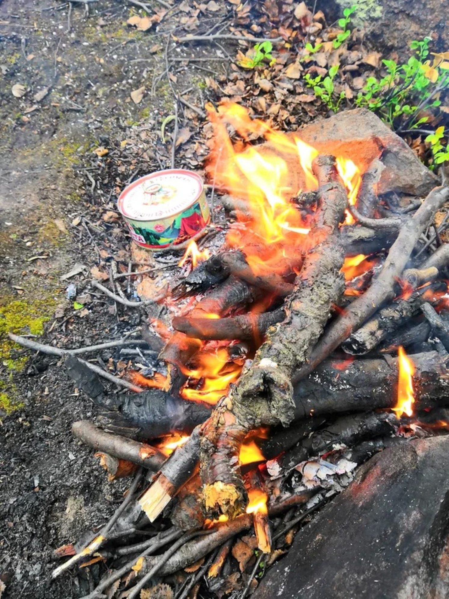 Приготовление перекуса – ням-ням-ням. Автор фото: Андрей Афанасьев