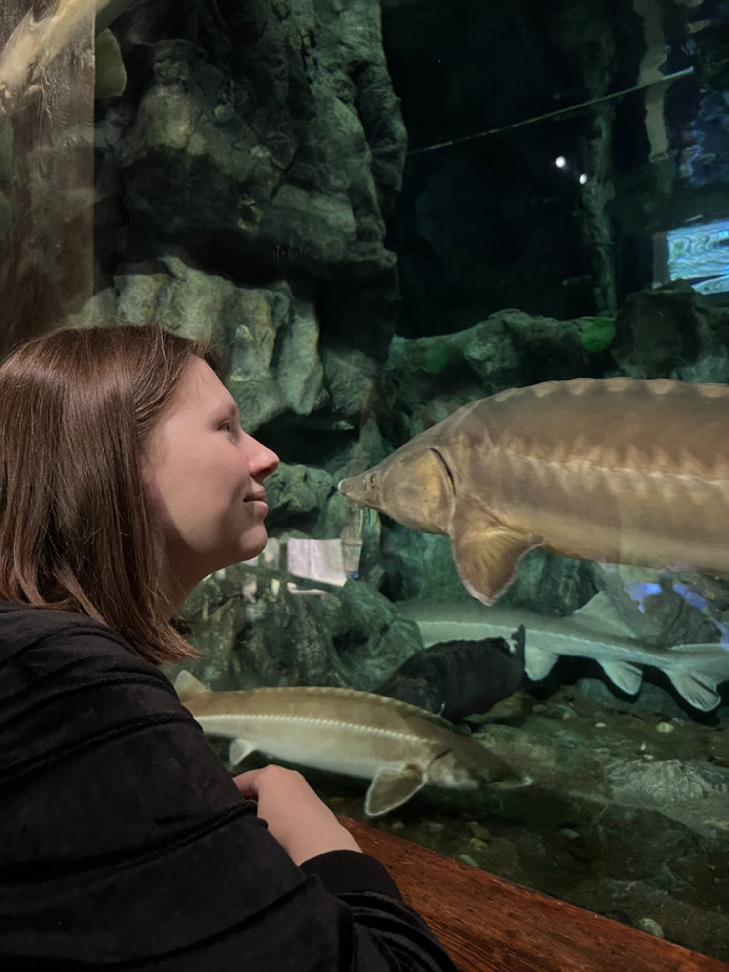 Животные умеренных и тропических широт. Автор фото: Маргарита Рейзес
