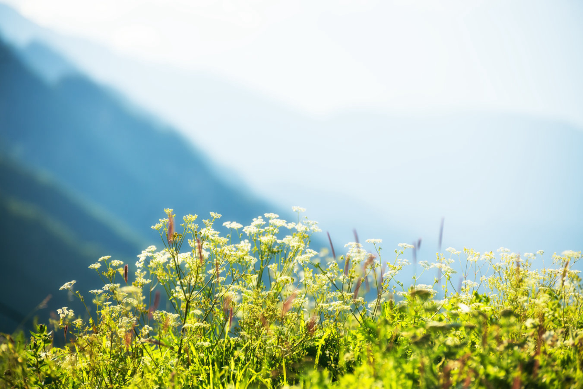 Если планируете насыщенную экскурсионную программу по Дагестану, выбирайте межсезонье (апрель–май или сентябрь–октябрь). Так вы сможете комфортно добраться до горных достопримечательностей, не мучаясь от жары и не рискуя попасть в снежные заносы. Источник: shutterstock.com