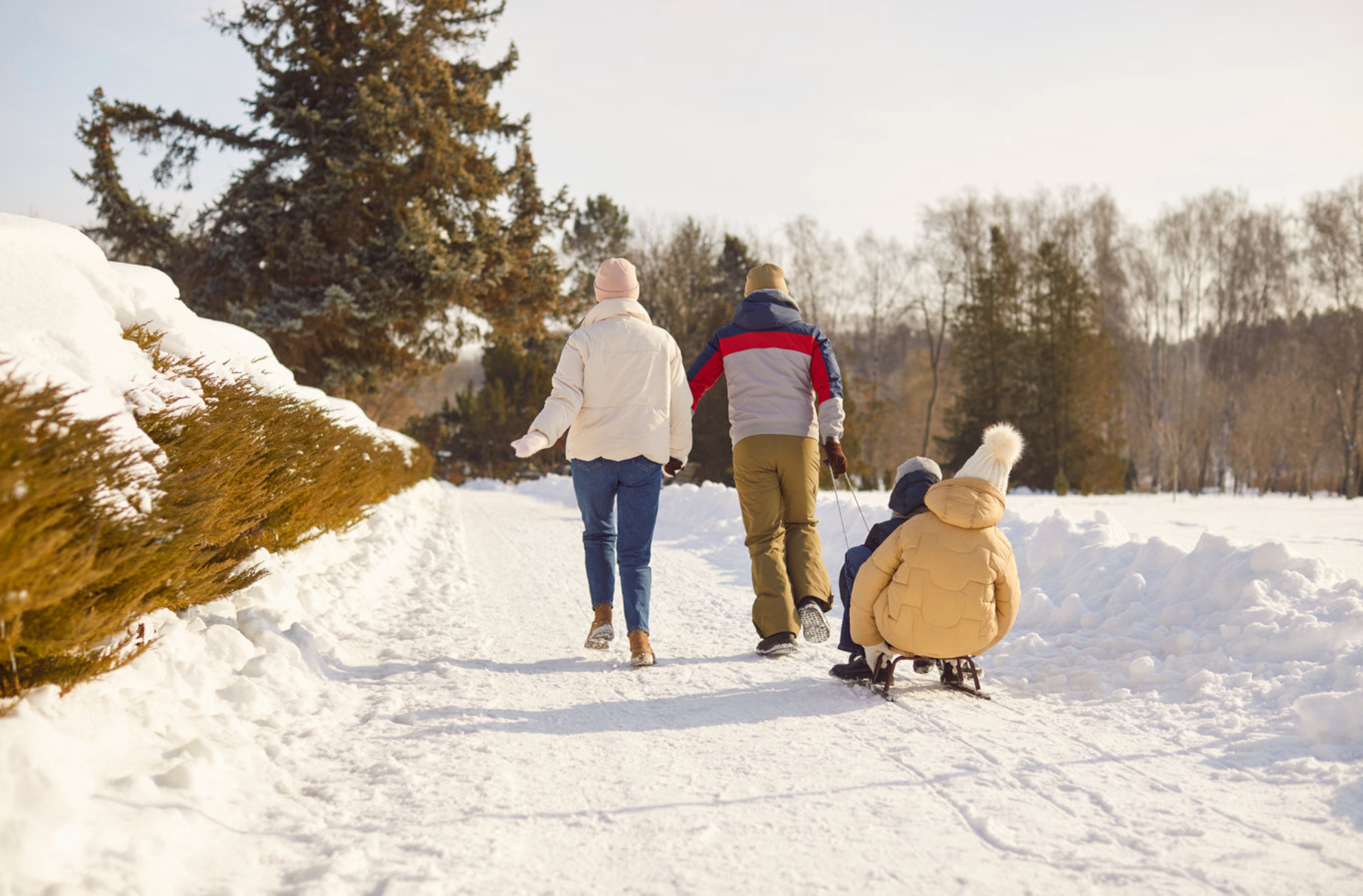 Катание на санках в зимнее время всей семьей. Источник: Shutterstock
