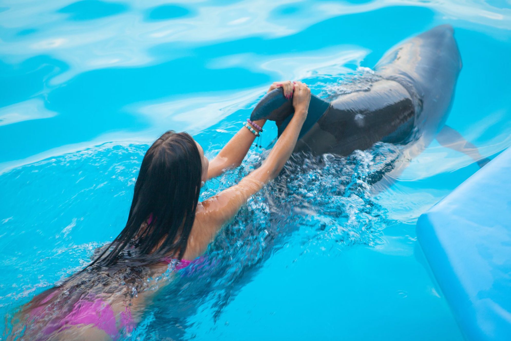 Плавание с дельфинами.