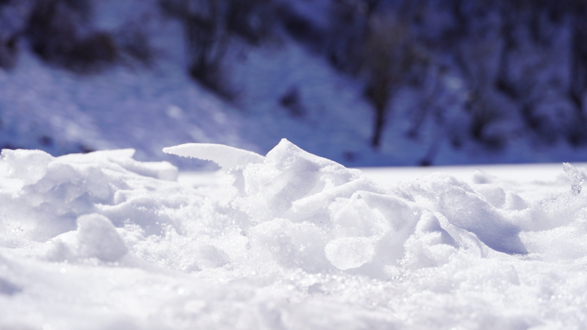 Снежный покров. Источник: Shutterstock