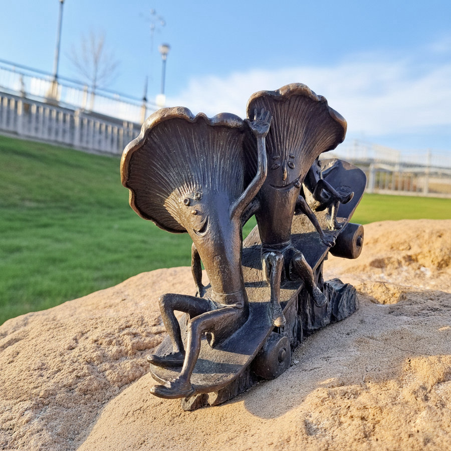 Грибы-скейтбордисты, Рязань.