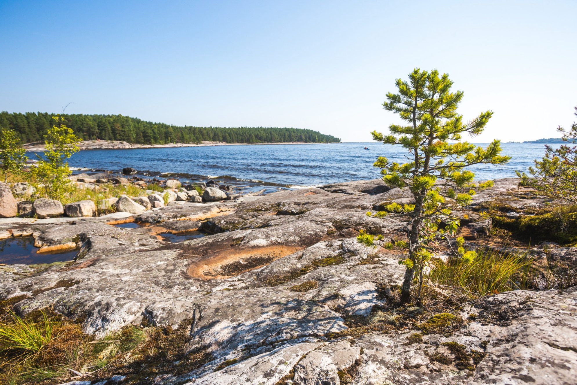 Каменный берег острова Койонсаари, шхеры Ладожского озера, Республика Карелия, Россия. Источник: Shutterstock