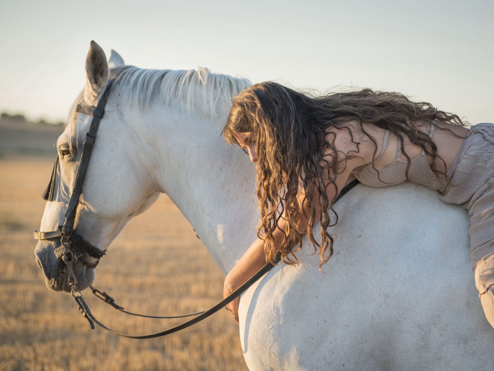 Сделайте памятные фотографии с лошадьми. Источник фото: elements.envato.com