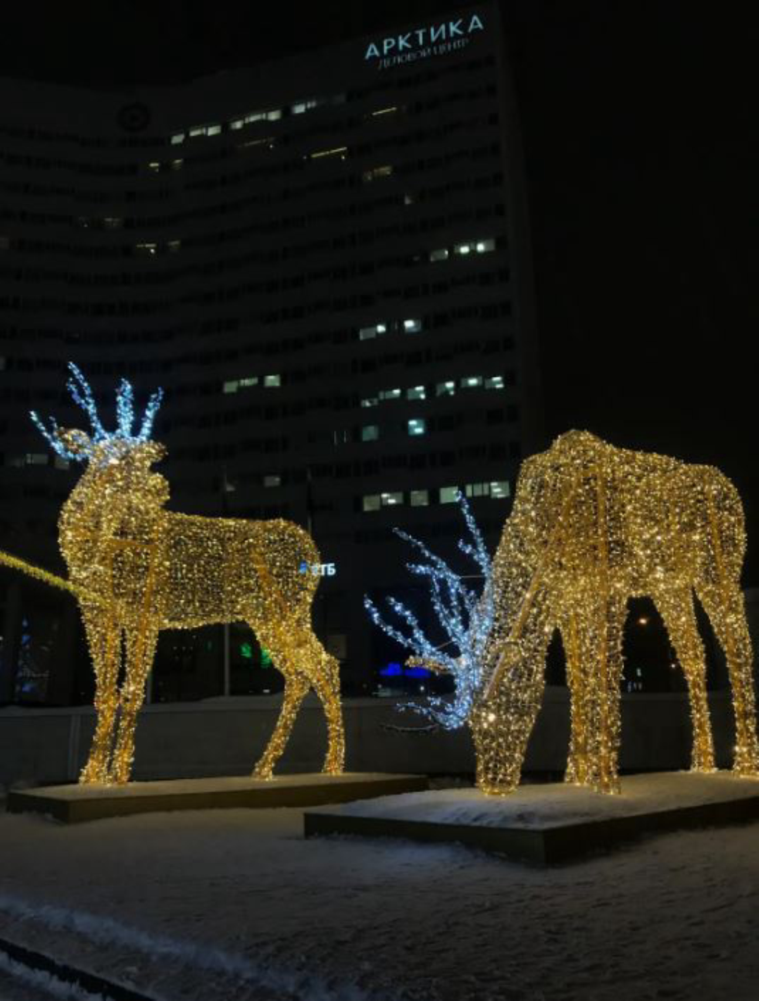 Светящиеся олени в центре. Автор: Анастасия Рейзес