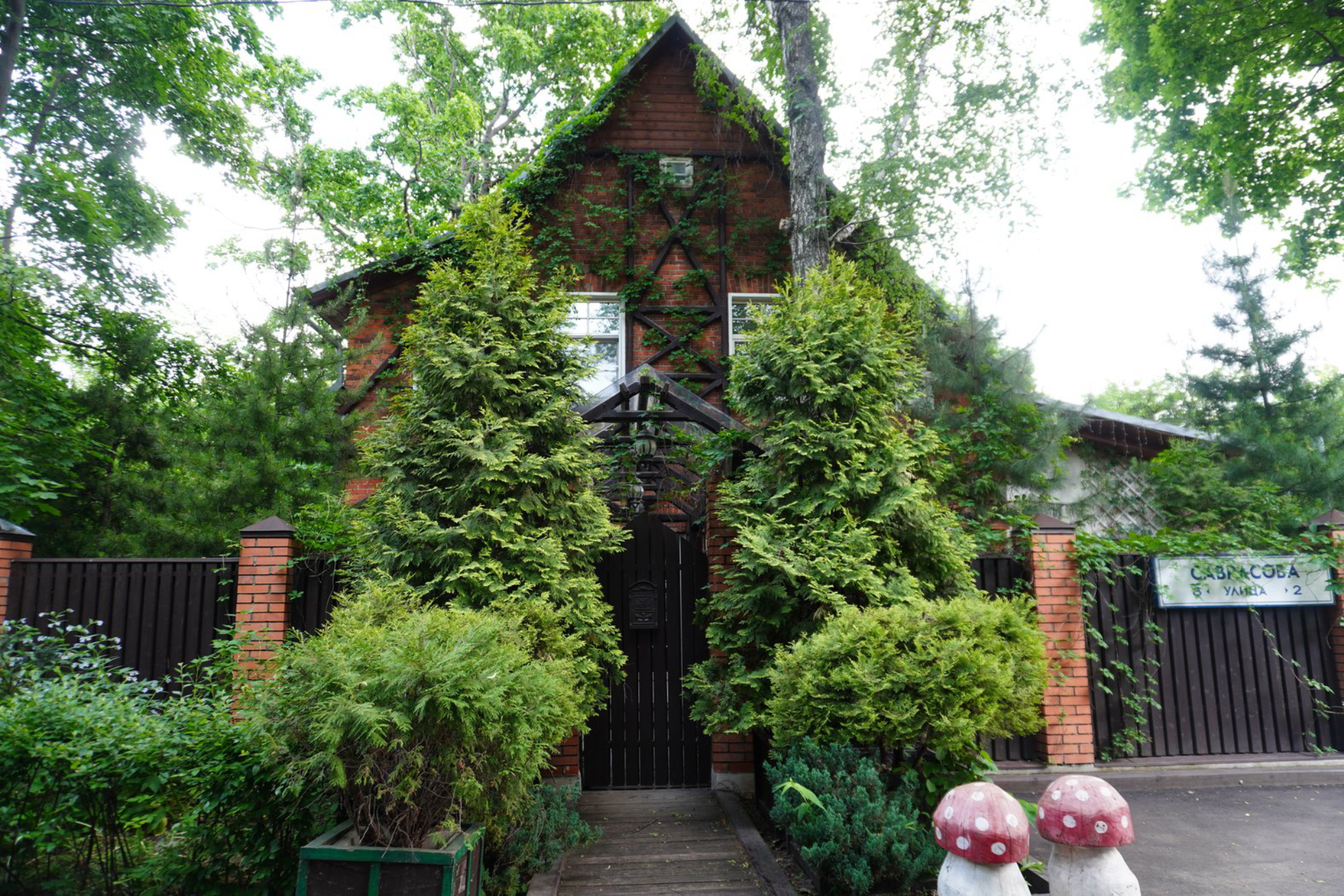 Сокол: Деревня художников – история, легенды, визит