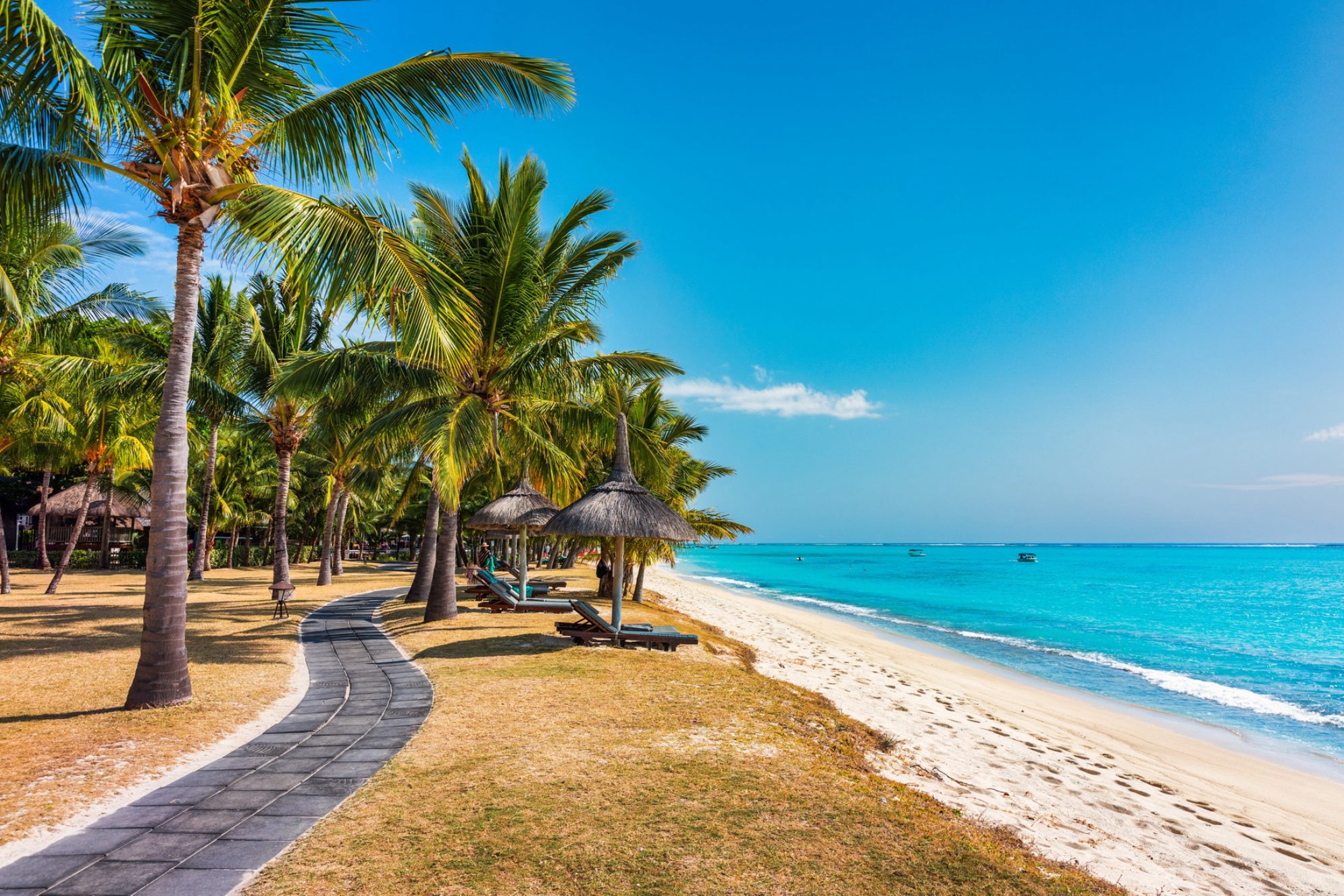 Райский пляжный курорт с пальмами и тропическим морем на острове Маврикий. Источник: Shutterstock