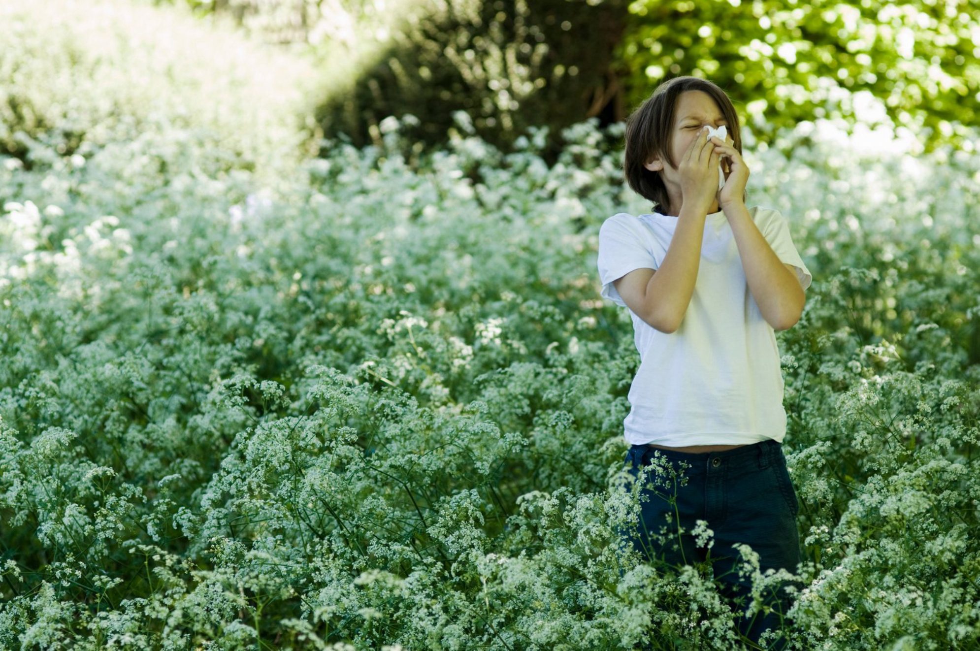 Антигистаминные средства - ваш помощник в борьбе с аллергией. Источник фото: elements.envato.com