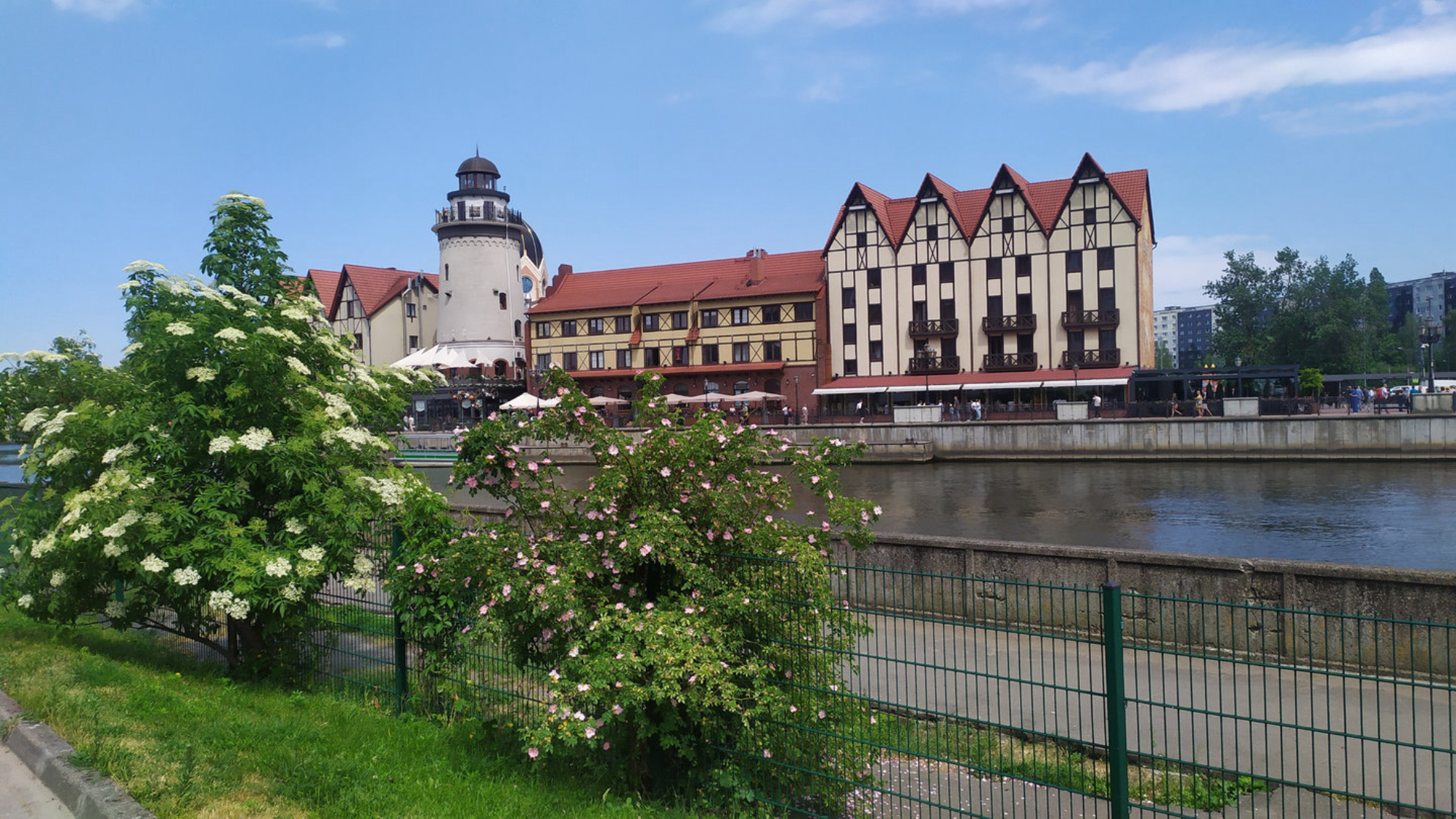 Калининград: едем сами! Маршрут, жилье, транспорт, еда